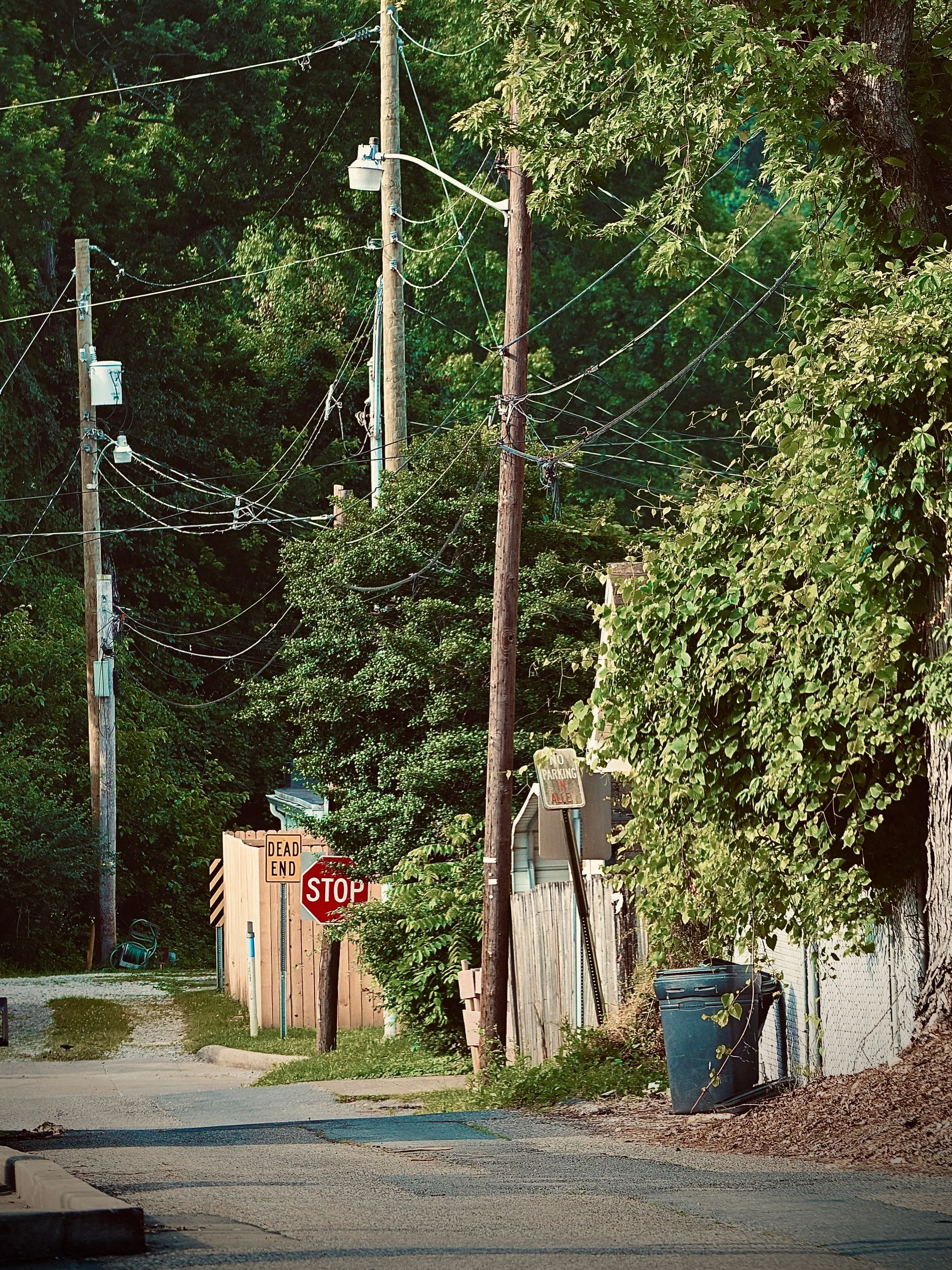 Utility poles with electrical wires on a tree-lined street with signs indicating dead end, stop, and no parking.