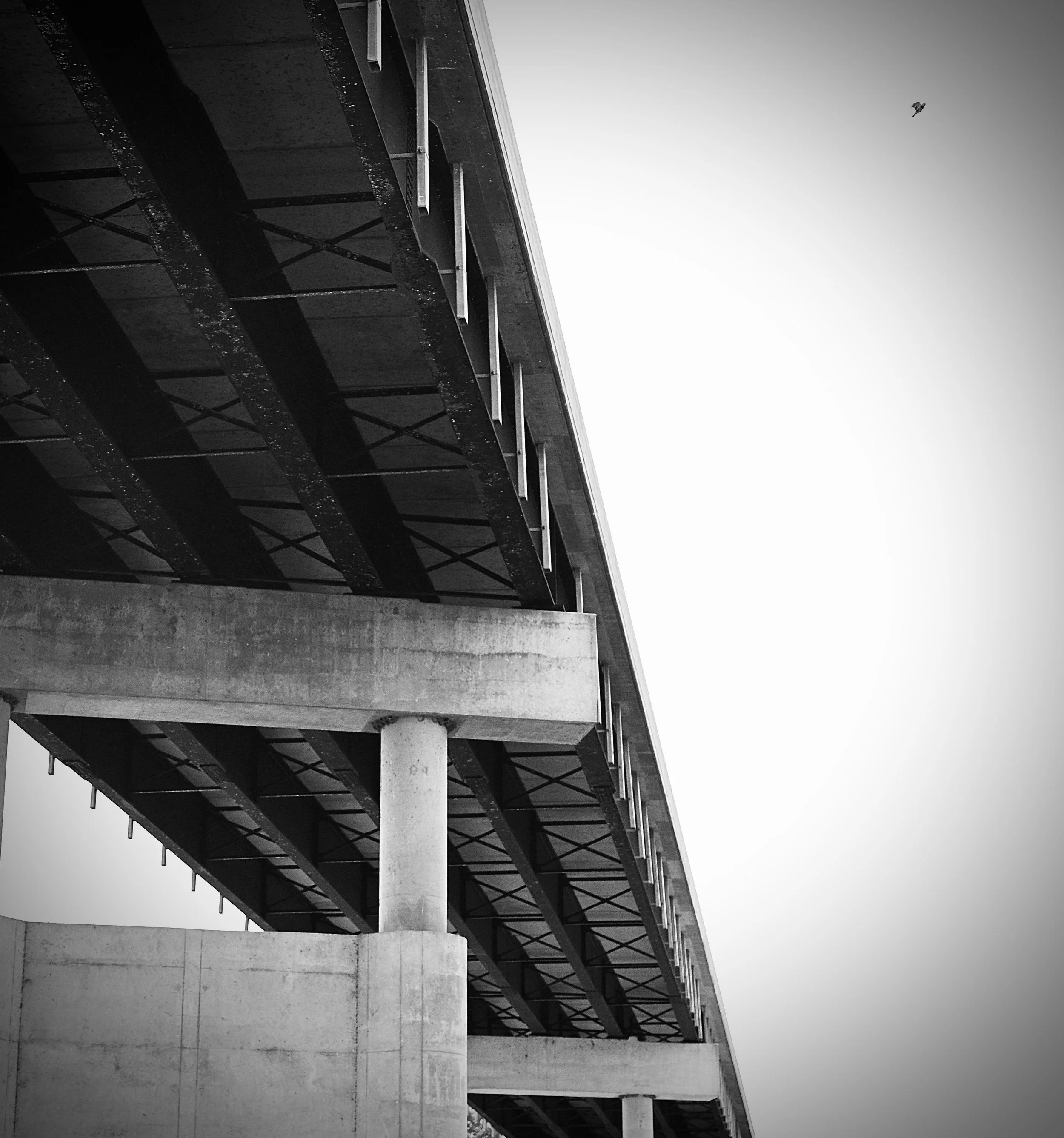 An upward-looking view of a modern bridge with concrete supports and metal framework, with a bird flying in the sky above.