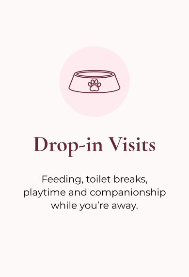 Flyer advertising drop-in visits for pet care, including feeding, toilet breaks, playtime, and companionship.