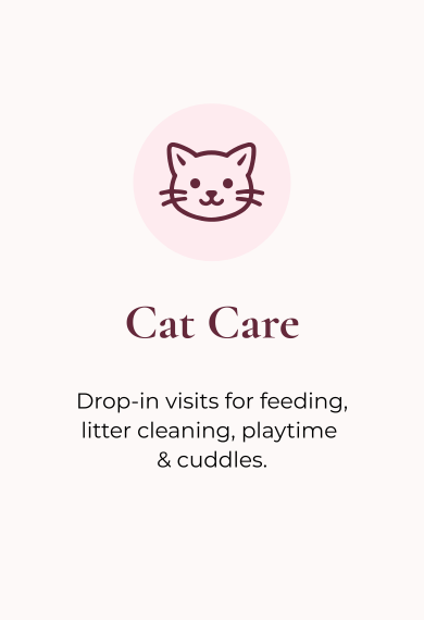 Flyer for Cat Care services, includes a simple smiling cat face illustration and mentions drop-in visits for feeding, litter cleaning, playtime, and cuddles.