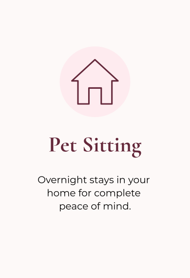 Pet sitting service advertisement with a house icon and text promoting overnight pet sitting for peace of mind.