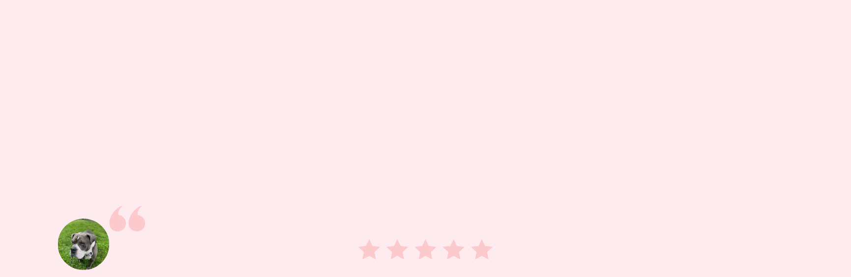 Light pink background with a small profile photo of a puppy in the bottom left corner, pink quotation marks, and five pink stars below.