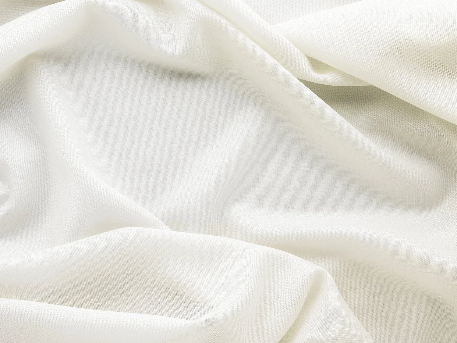 sheer-wool-snow-ruffle_high-res.webp