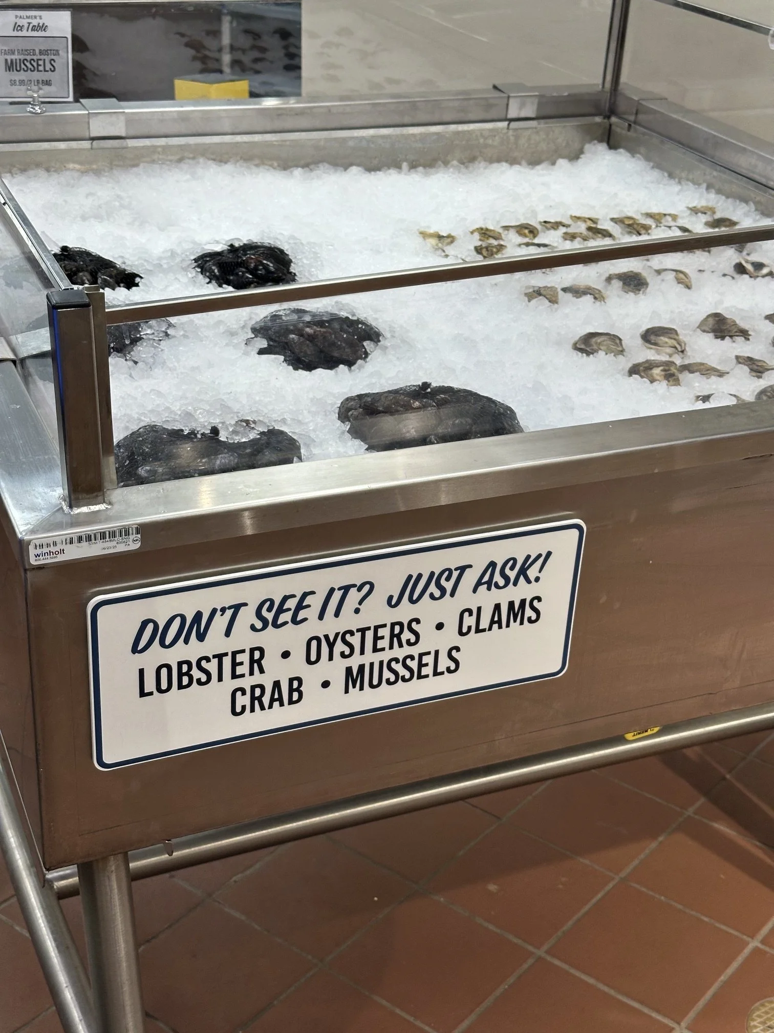 A display case containing oysters, clams, and mussels on ice at a seafood market.