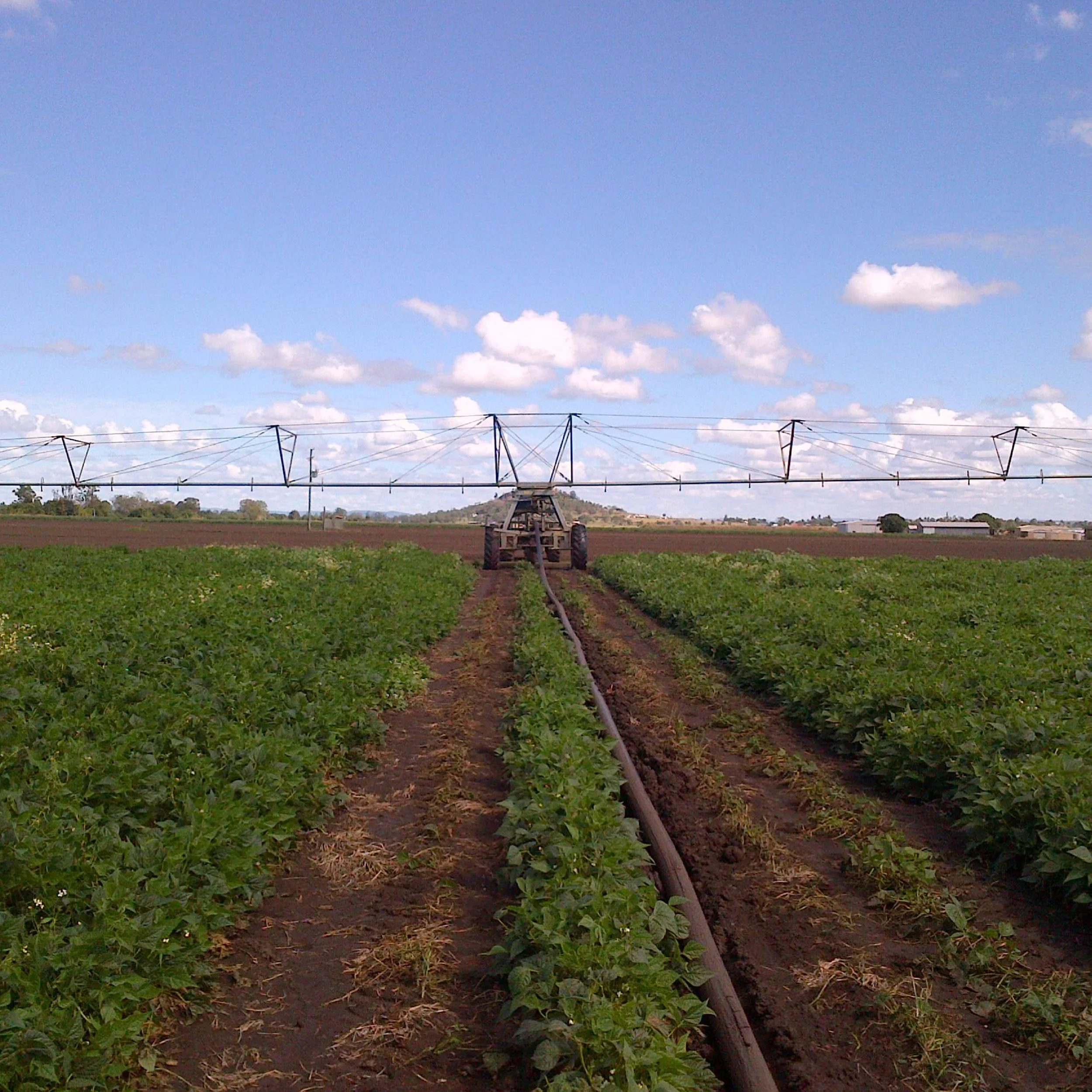 Irrigation & Agriculture