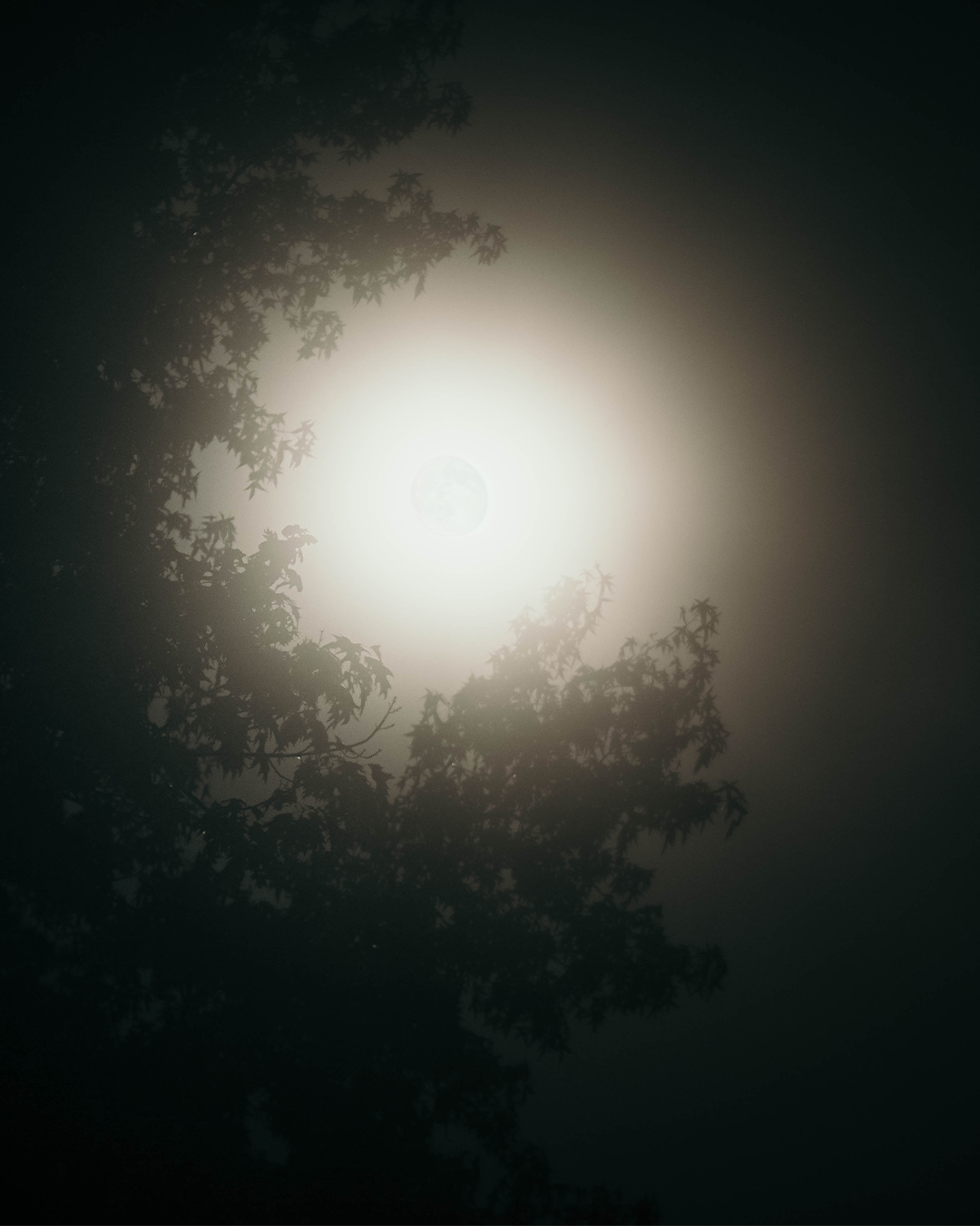 Moon Insta 3.png