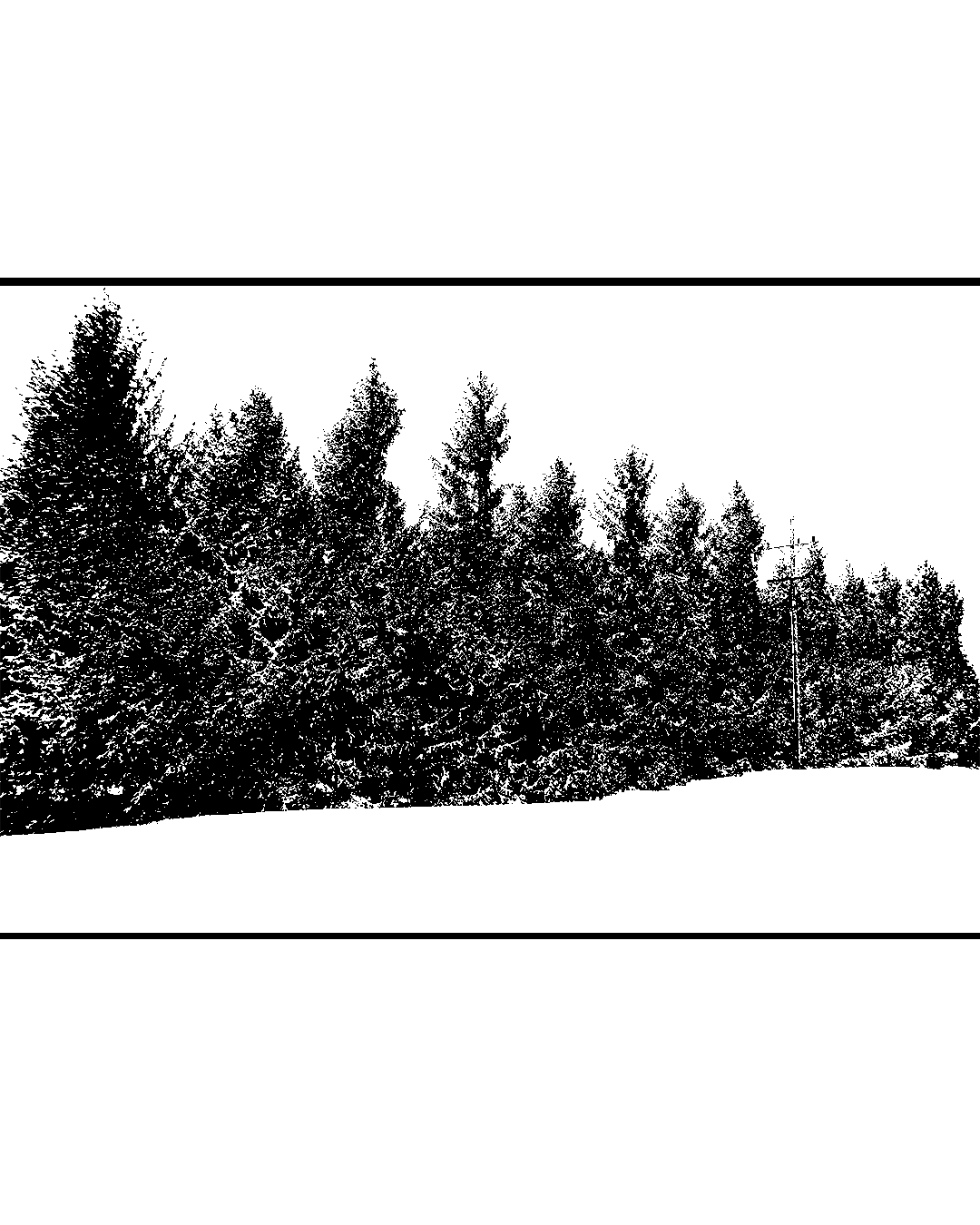 jan253 (1).png