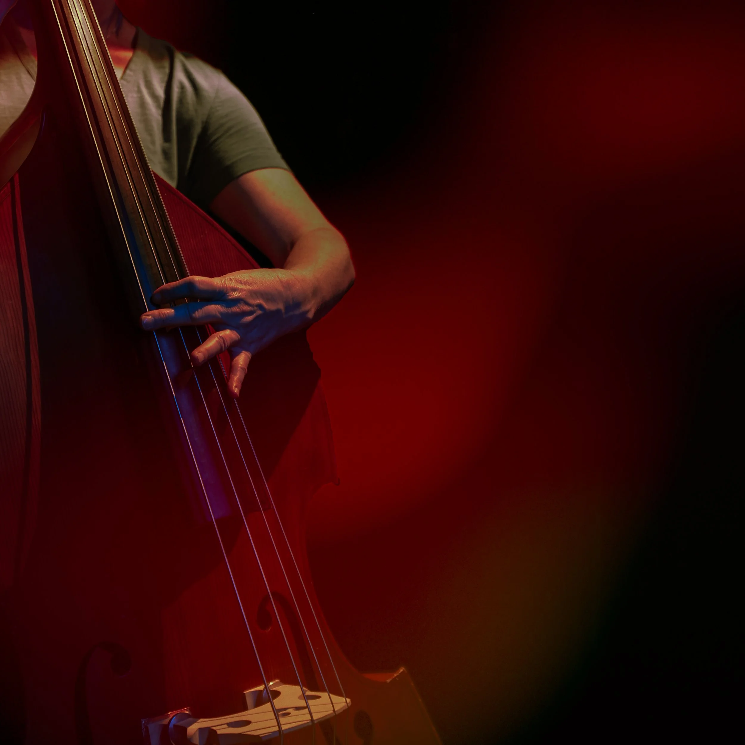 Bass 1.jpg