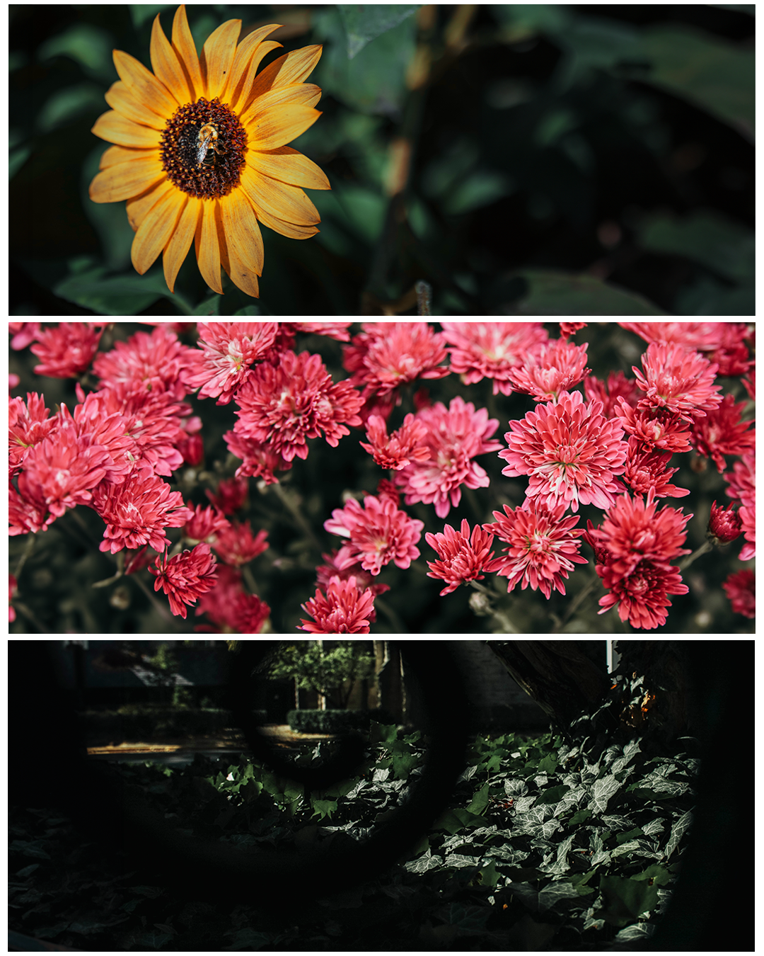 bees 4.png