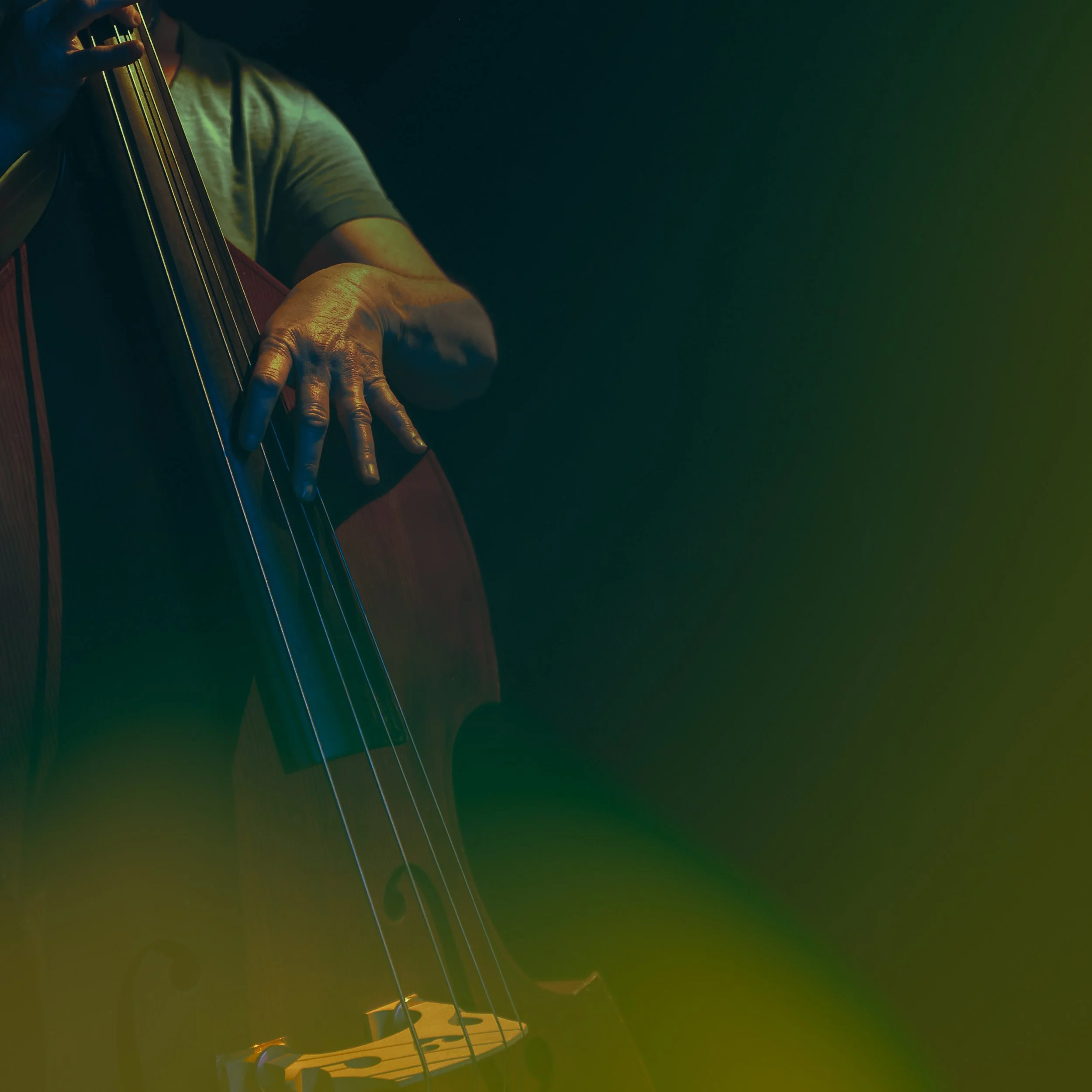 Bass 2.jpg