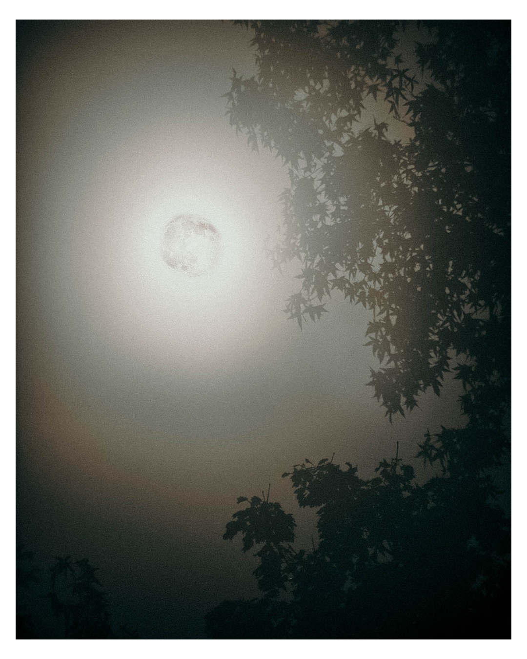 Moon 4.png