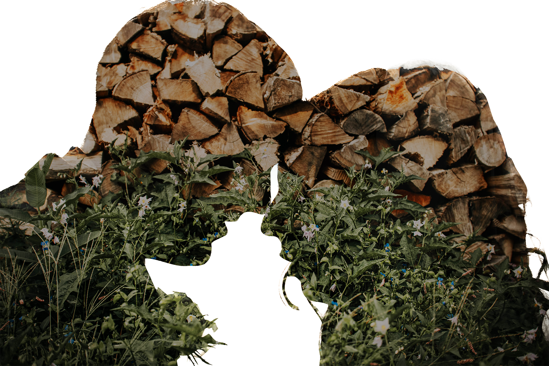 A layered collage of stacked firewood and green foliage with small flowers, including a white silhouette of the California state outline in the center.