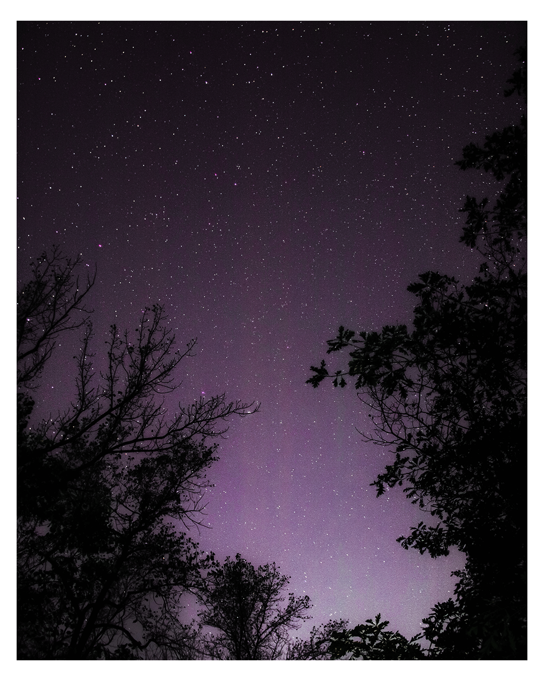 stars 5.png