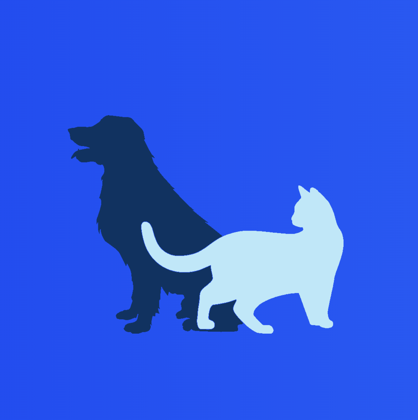 Pet Fostering Service Scotland