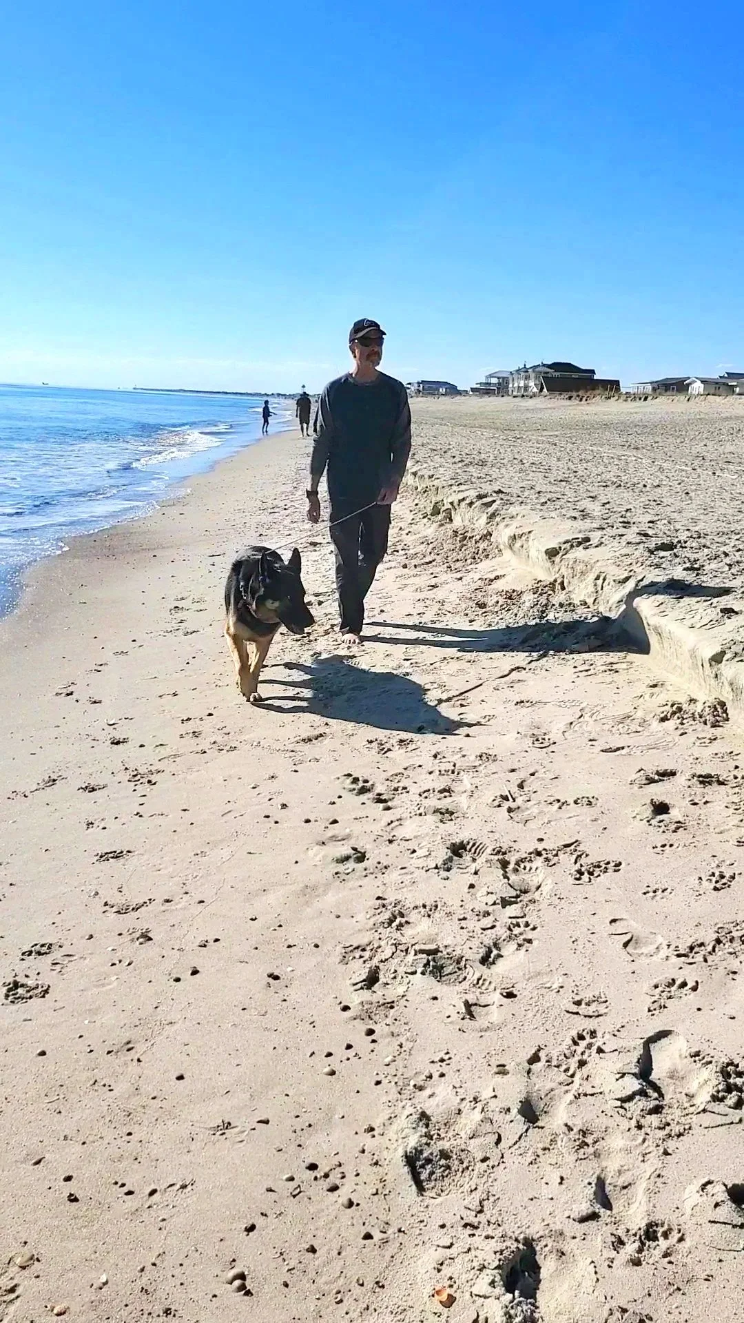 A man walking a dog along a sandy beach on a sunny day, with houses visible in the background.