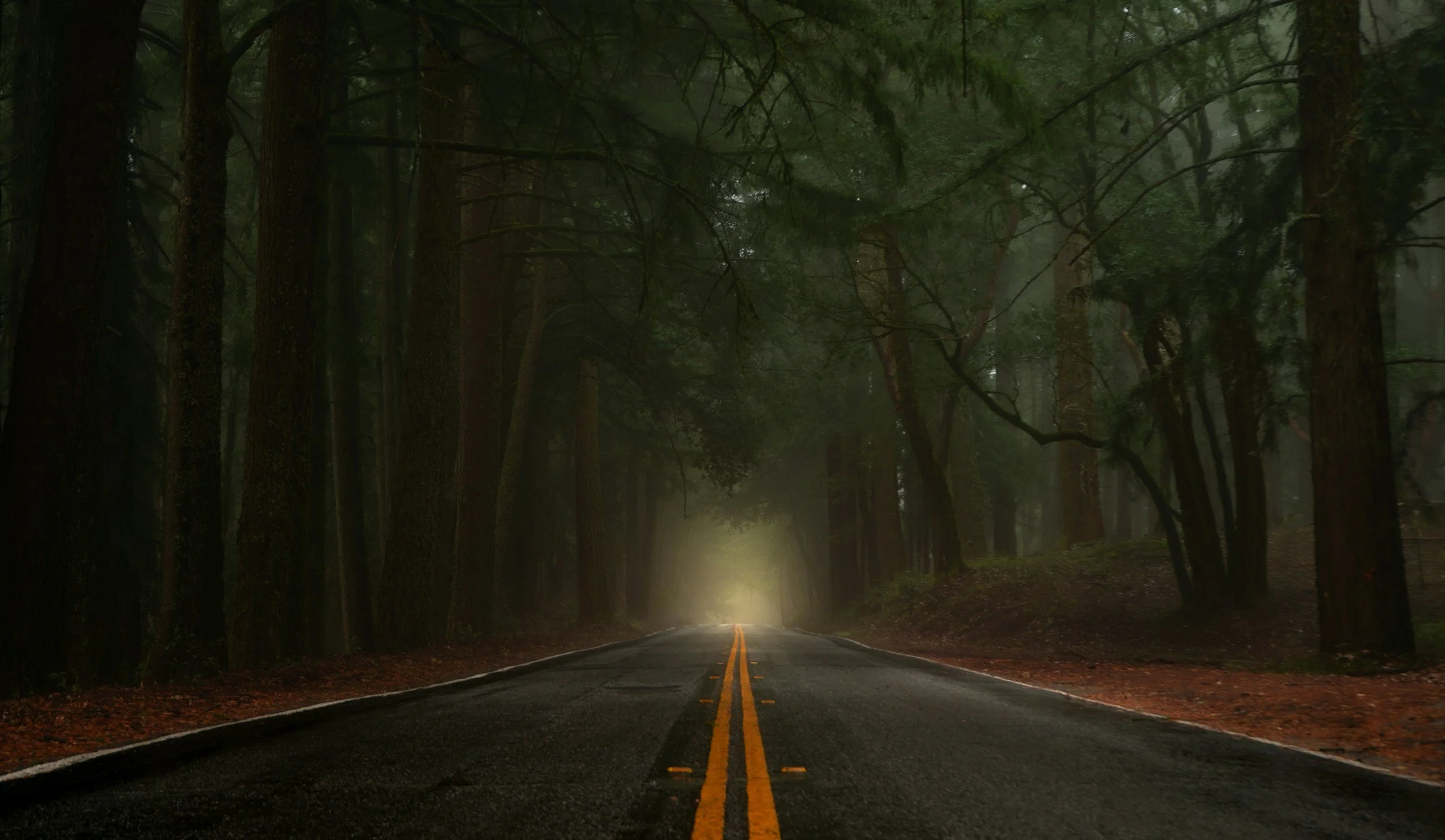 A two-lane road runs through a foggy forest with tall trees on both sides. The road has a yellow centerline, and the scene is dimly lit with a faint glow, creating an eerie atmosphere.
