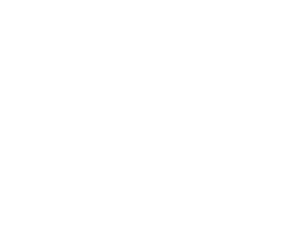 chambers-litigation-support-02a.png