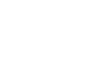 chambers-crisis-risk-management-03a.png