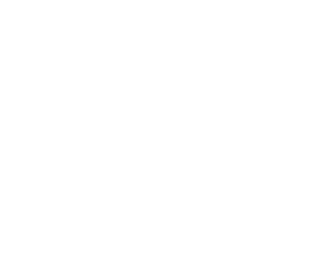 chambers-crisis-risk-management-04a.png
