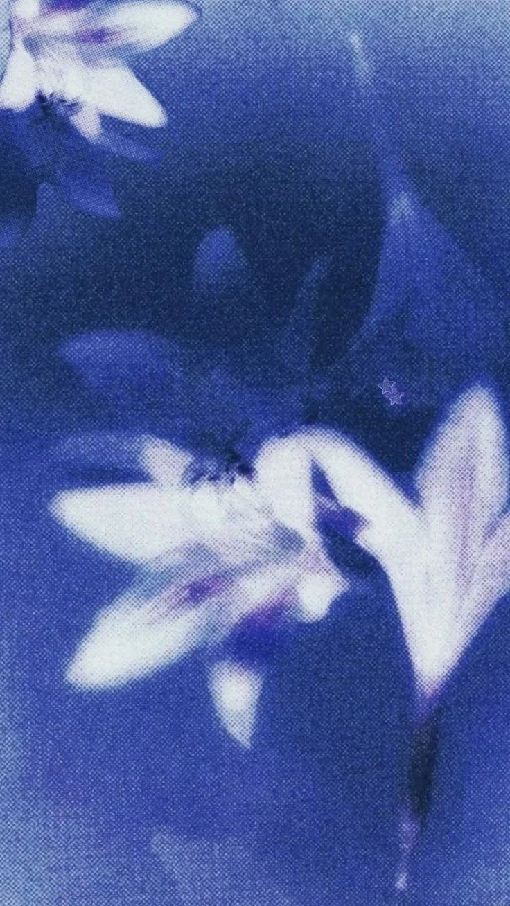 Close-up of a person's face partially covered by white lilies with a blue filter.