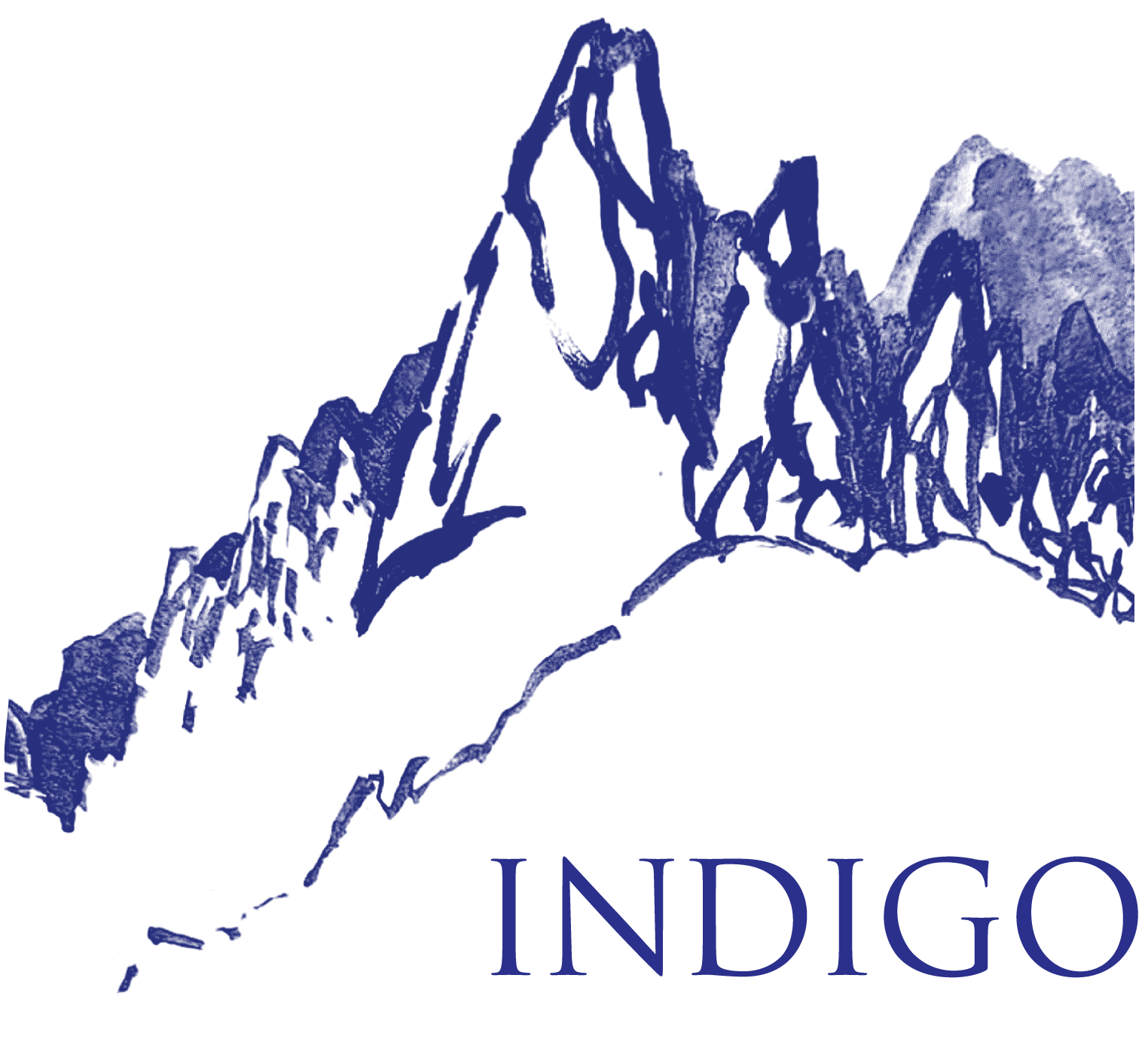 A stylized blue outline map of India with the word 'INDIGO' written below.