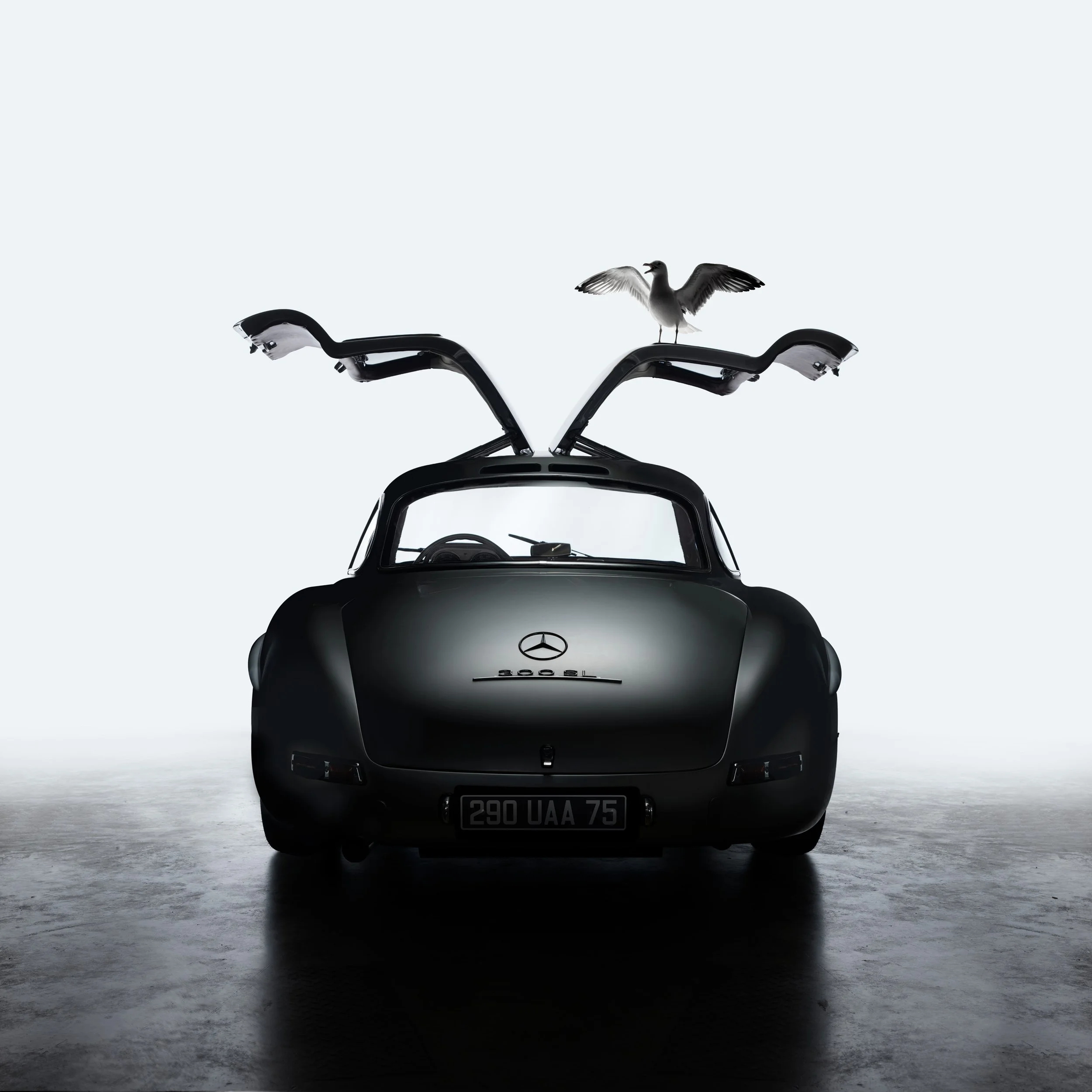 „Hochwertige, individuelle Studiofotografie für besondere Fahrzeuge: Mercedes 300 SL Flügeltürer, Ferrari 250 GTO, Bugatti, Bentley u.v.m. Jetzt bespoke Automobilfotos anfragen!"