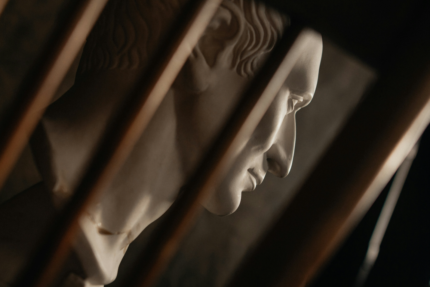 Close-up side profile of a classical white marble bust of a woman, seen through wooden bars.