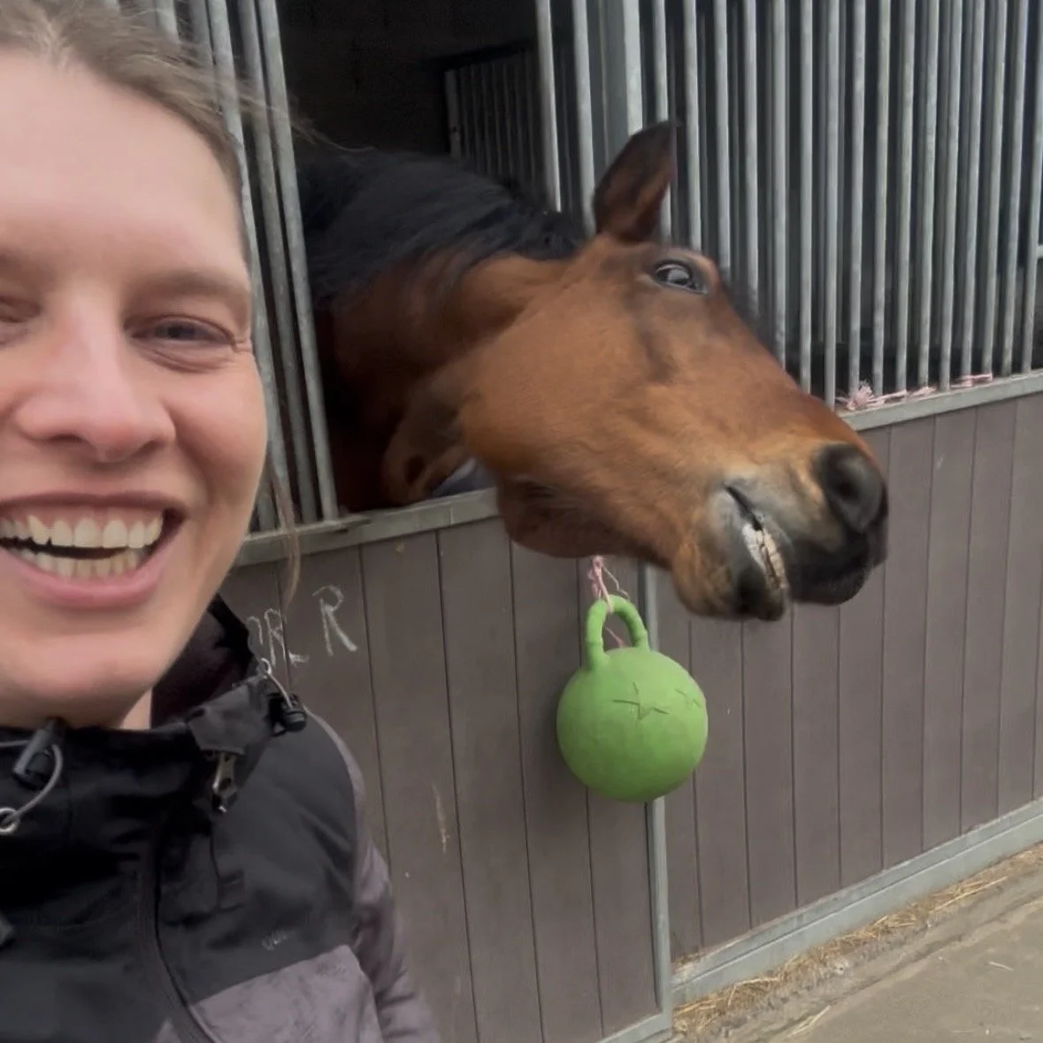 A smiling woman taking a selfie with a horse at a stable, the horse's head is sticking out of a stall, with a green ball hanging from the stall door.