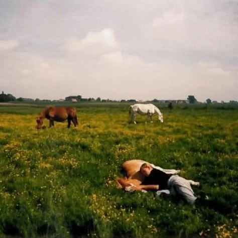 Person lying on the grass with a dog, and two horses grazing in a field under a cloudy sky.