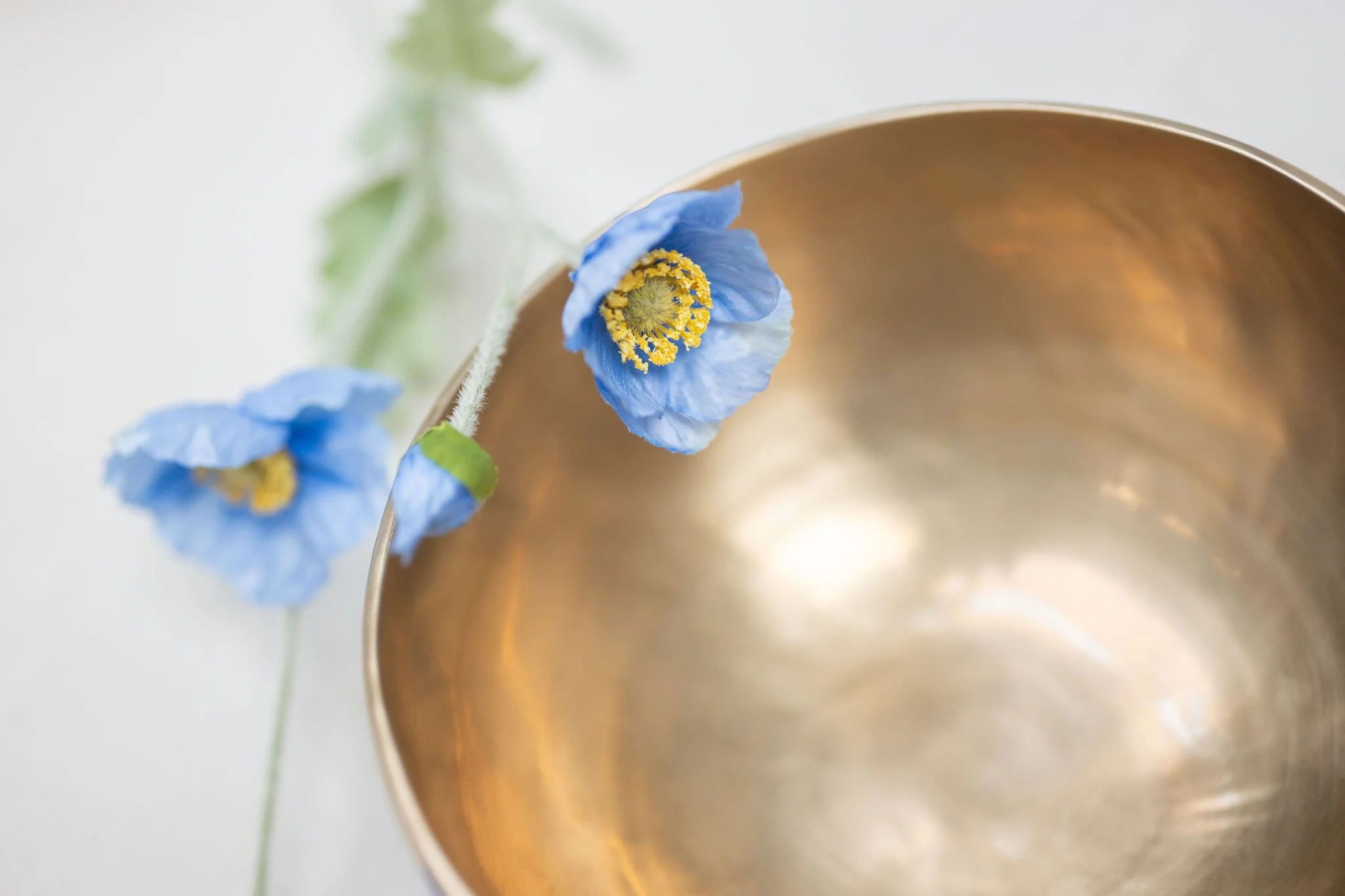 Close-up of a yellow and blue flower with green stem and leaves in a gold-colored bowl.