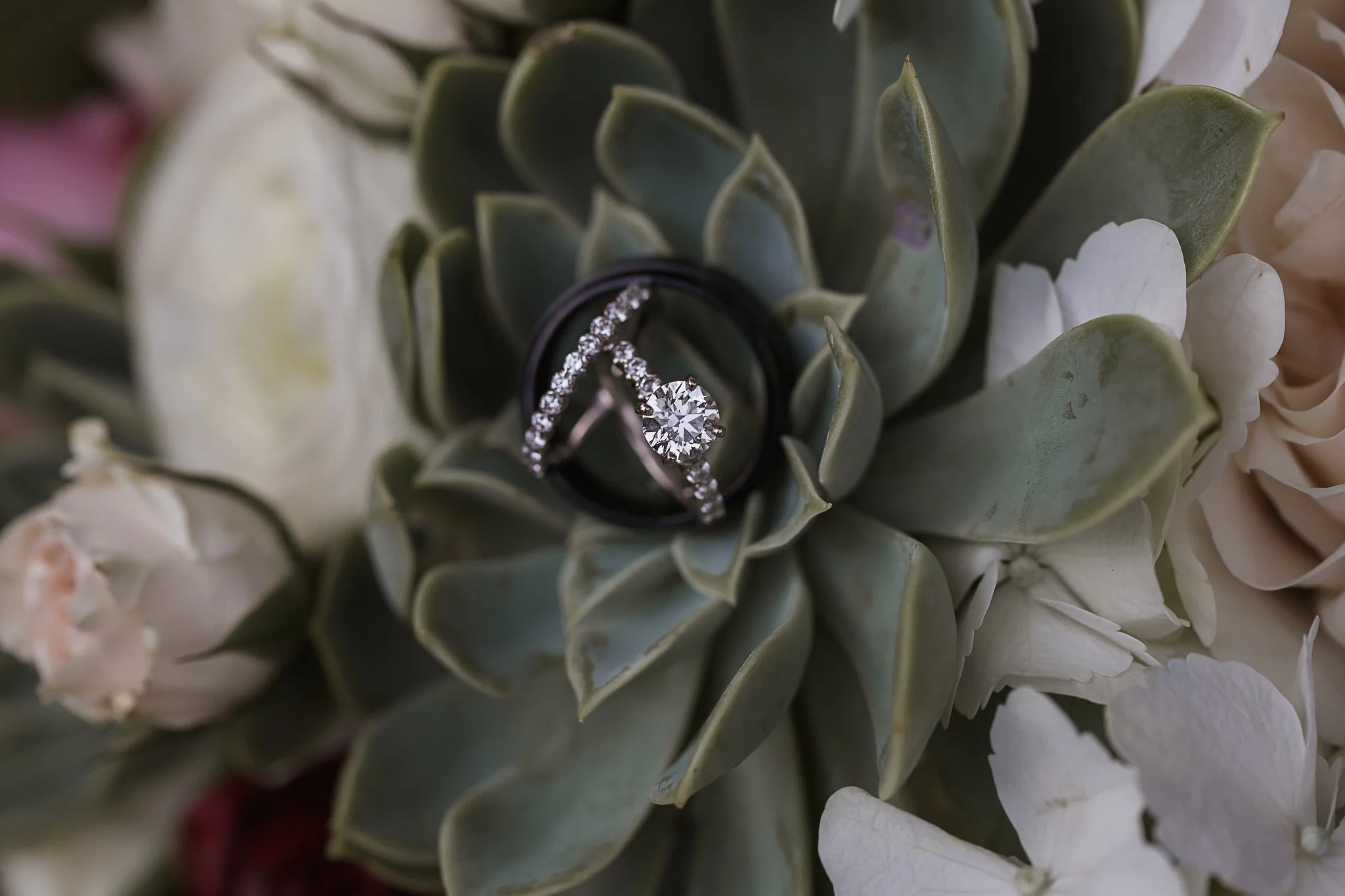 Wedding Rings Charlotte Wedding Photographer (Copy)