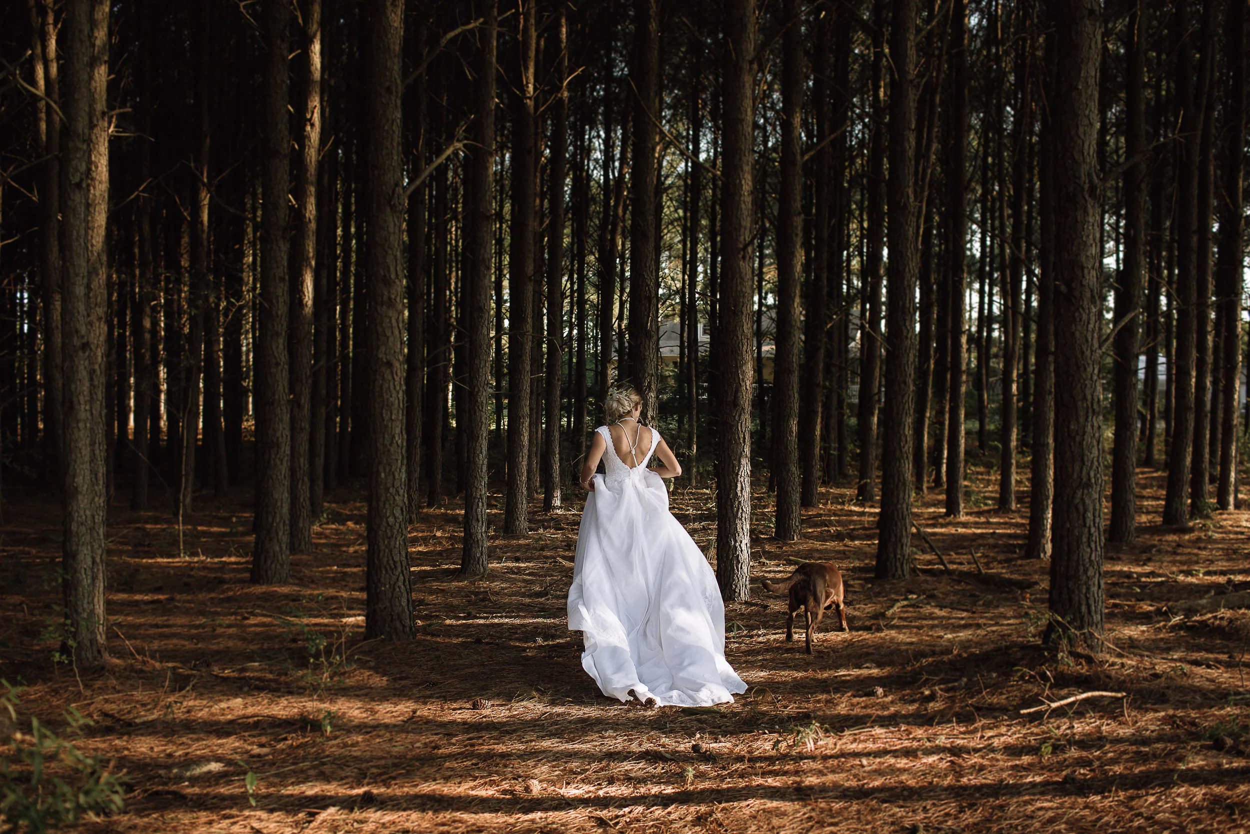 charlotte north carolina wedding photographer (Copy)