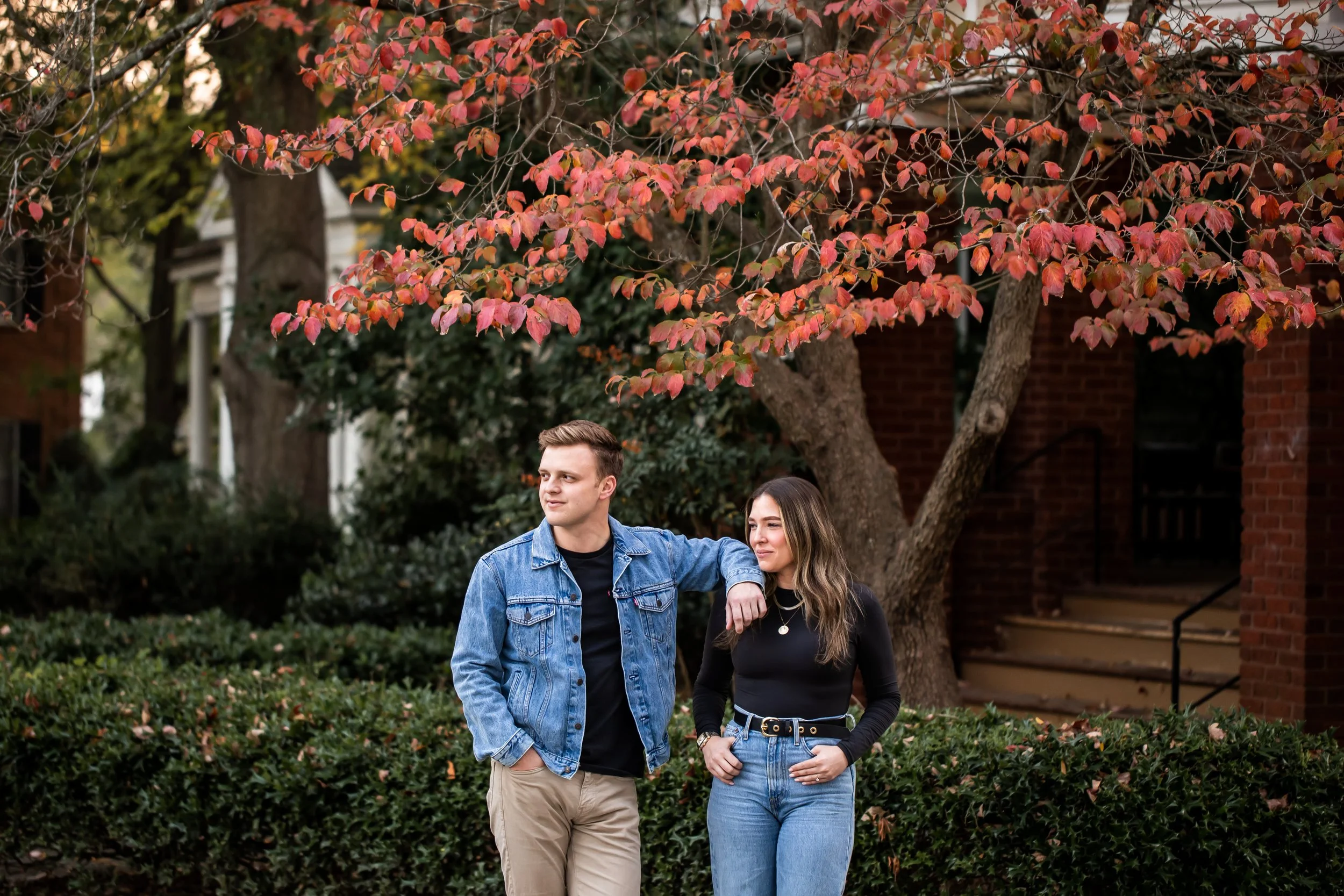 chic couple in black and blue jeans gazes into the distance in front of a red leafed tree fall proposal charlotte north carolina