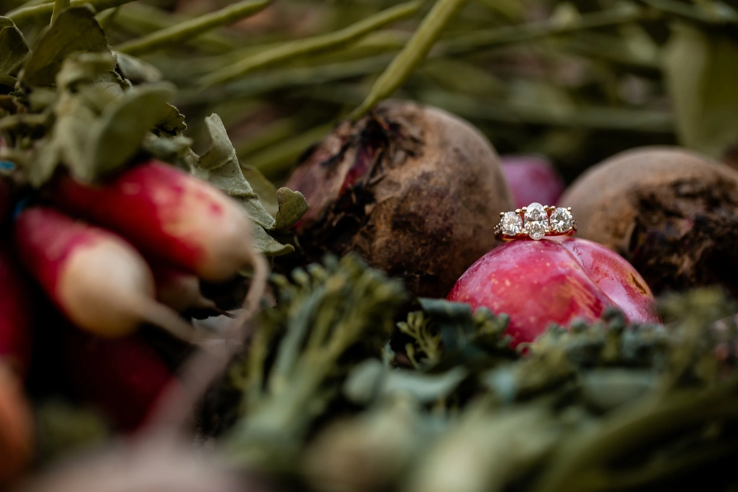 engagement ring shot captured on fresh vegetables at farm photo session