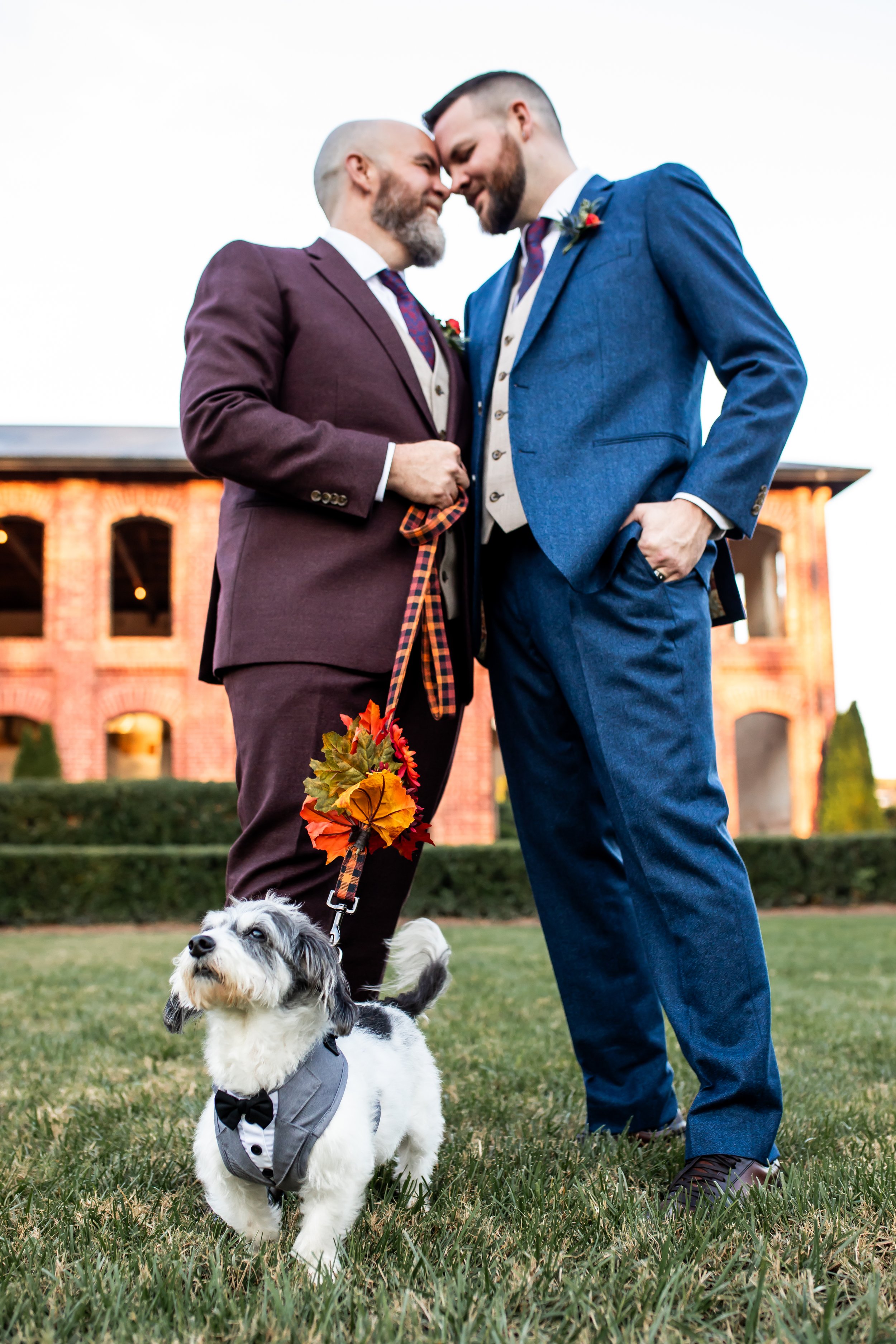grooms wedding lgbt bring your dog to your wedding small maltese
