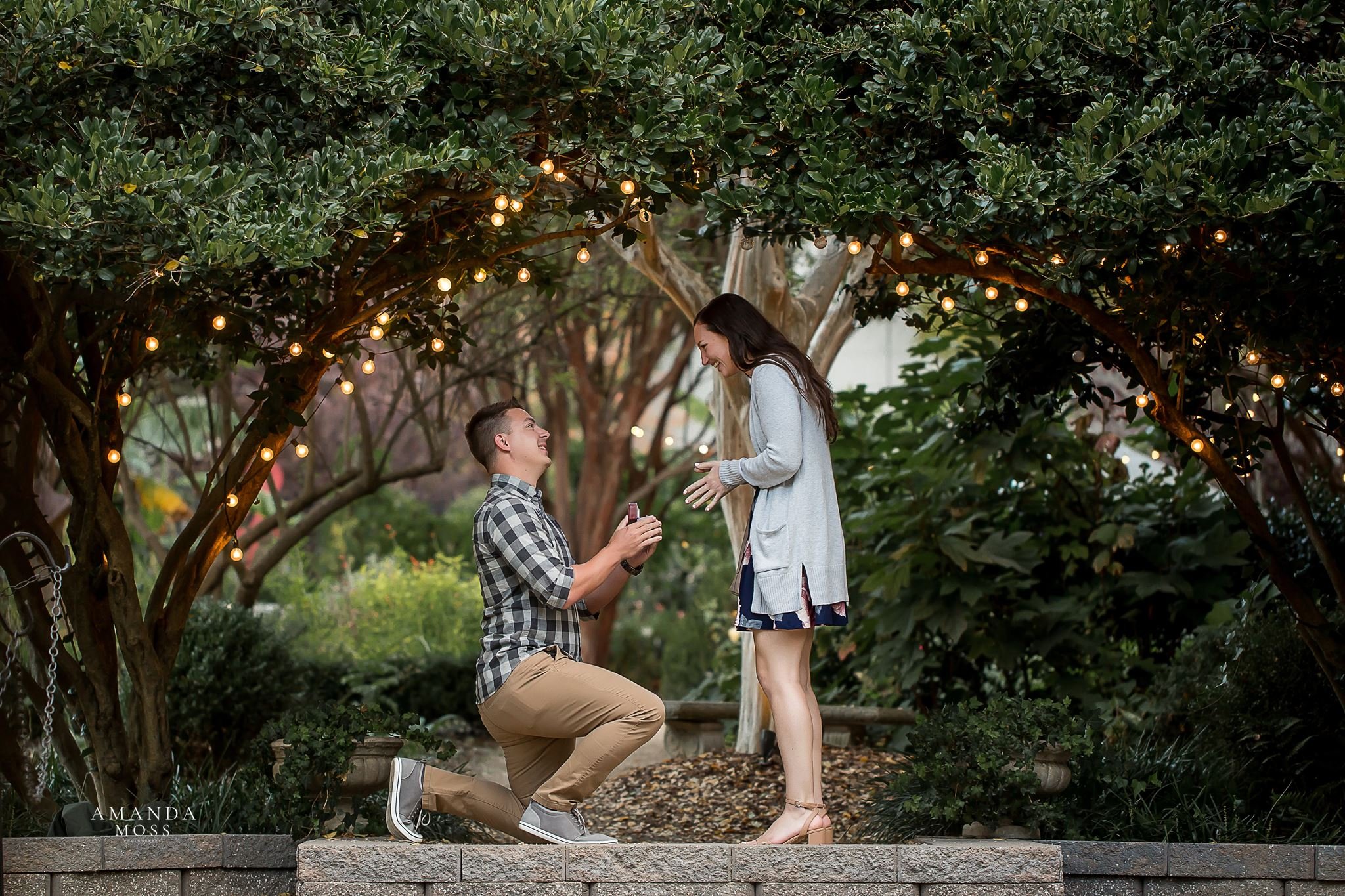 man on one knee proposing to his girlfriend under large trees and twinkle lights