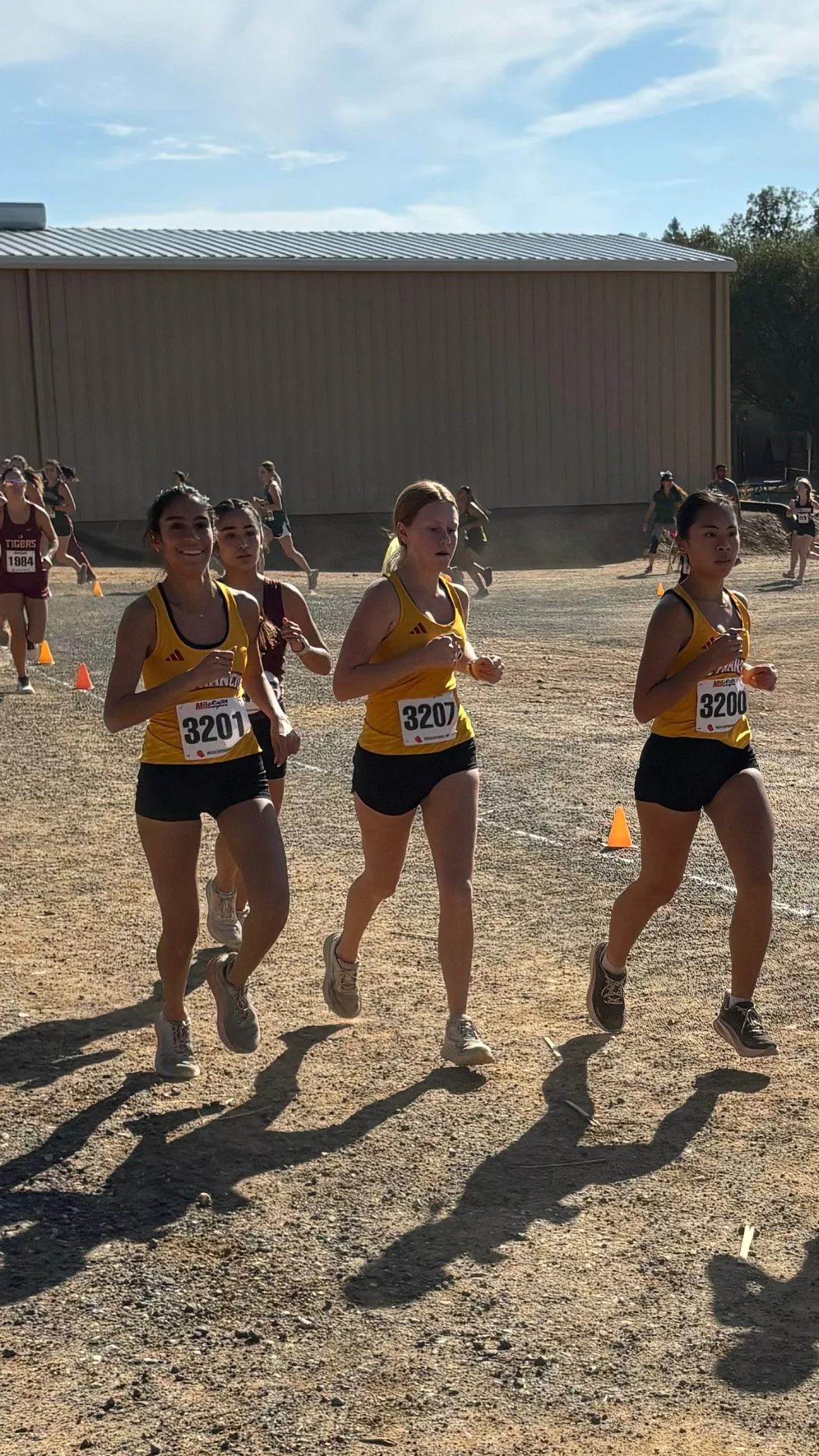 How Many Miles Should High School Distance Runners Run?