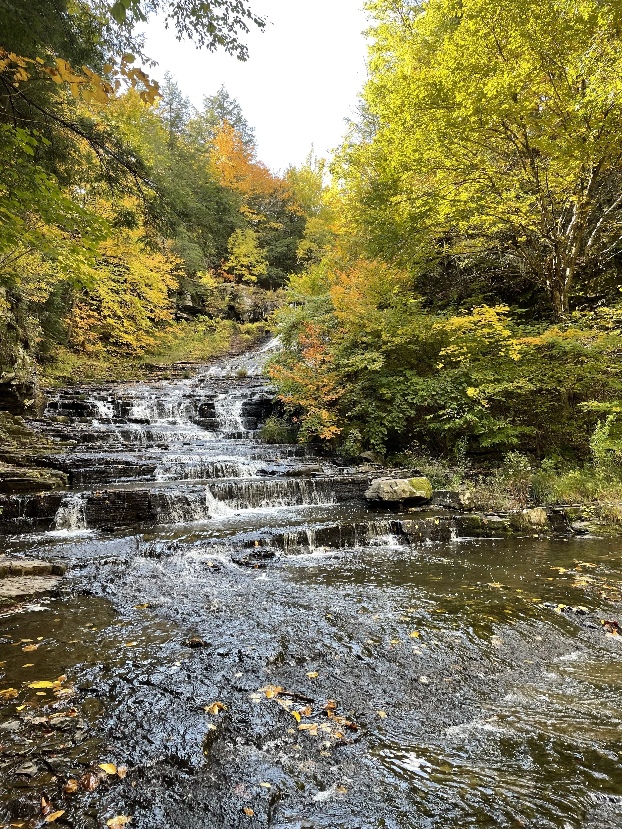 A small cascading waterfall flowing over dark rocks in a forested area with green and yellow autumn leaves.