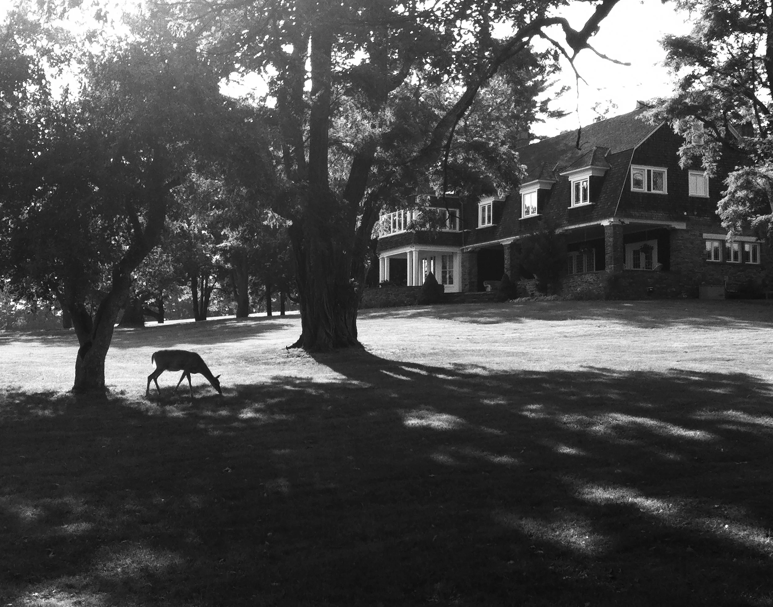Huyck exterior.jpg