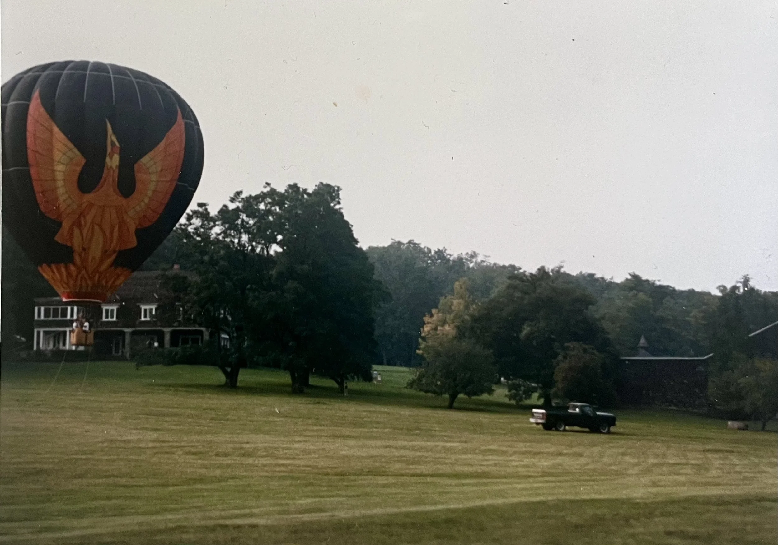 Hot air balloon with a phoenix design in black, orange, and yellow flying over a grassy field with trees and a large house in the background.