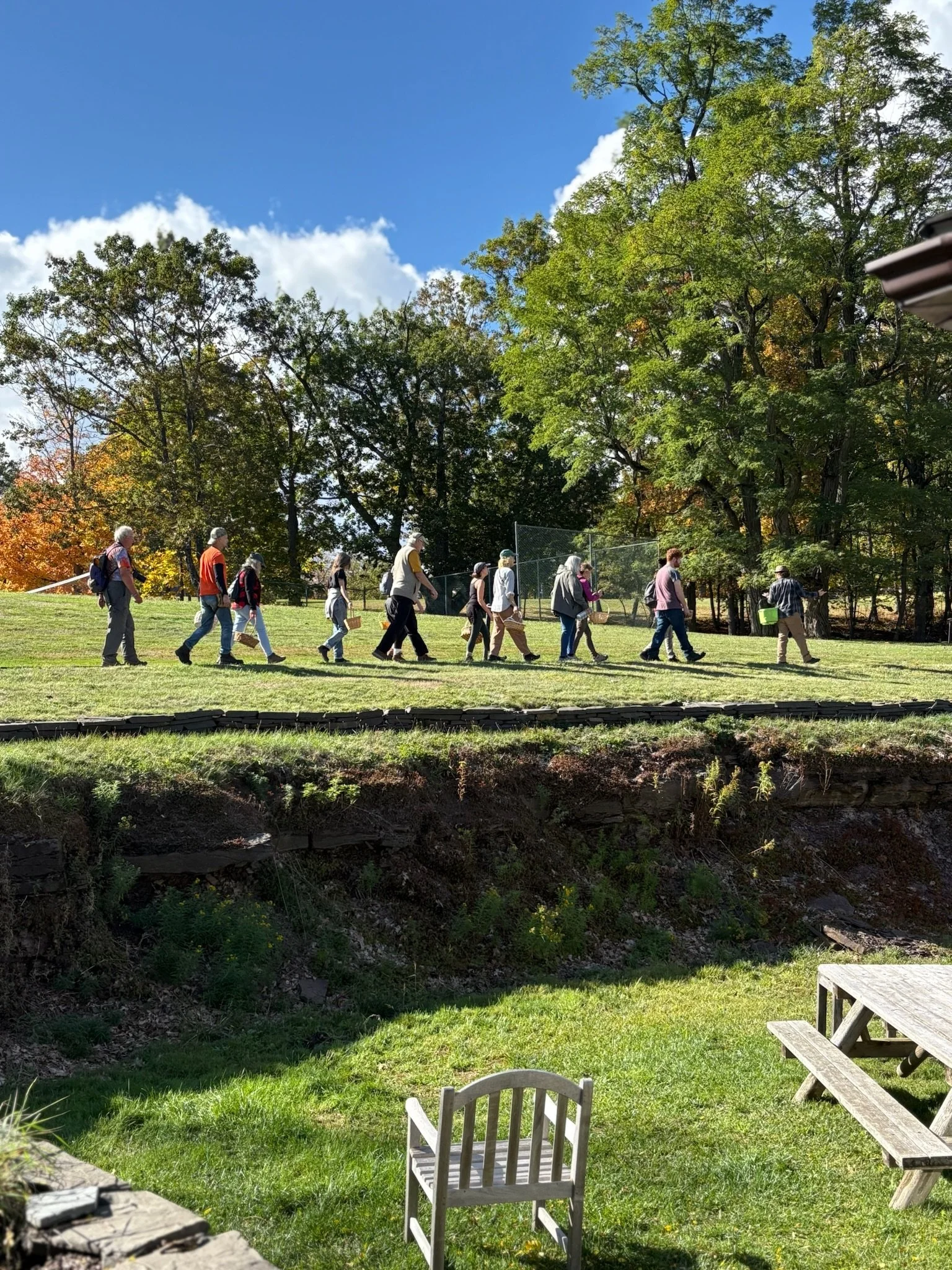 A group of people walking in a line across a grassy field with trees and blue sky in the background.