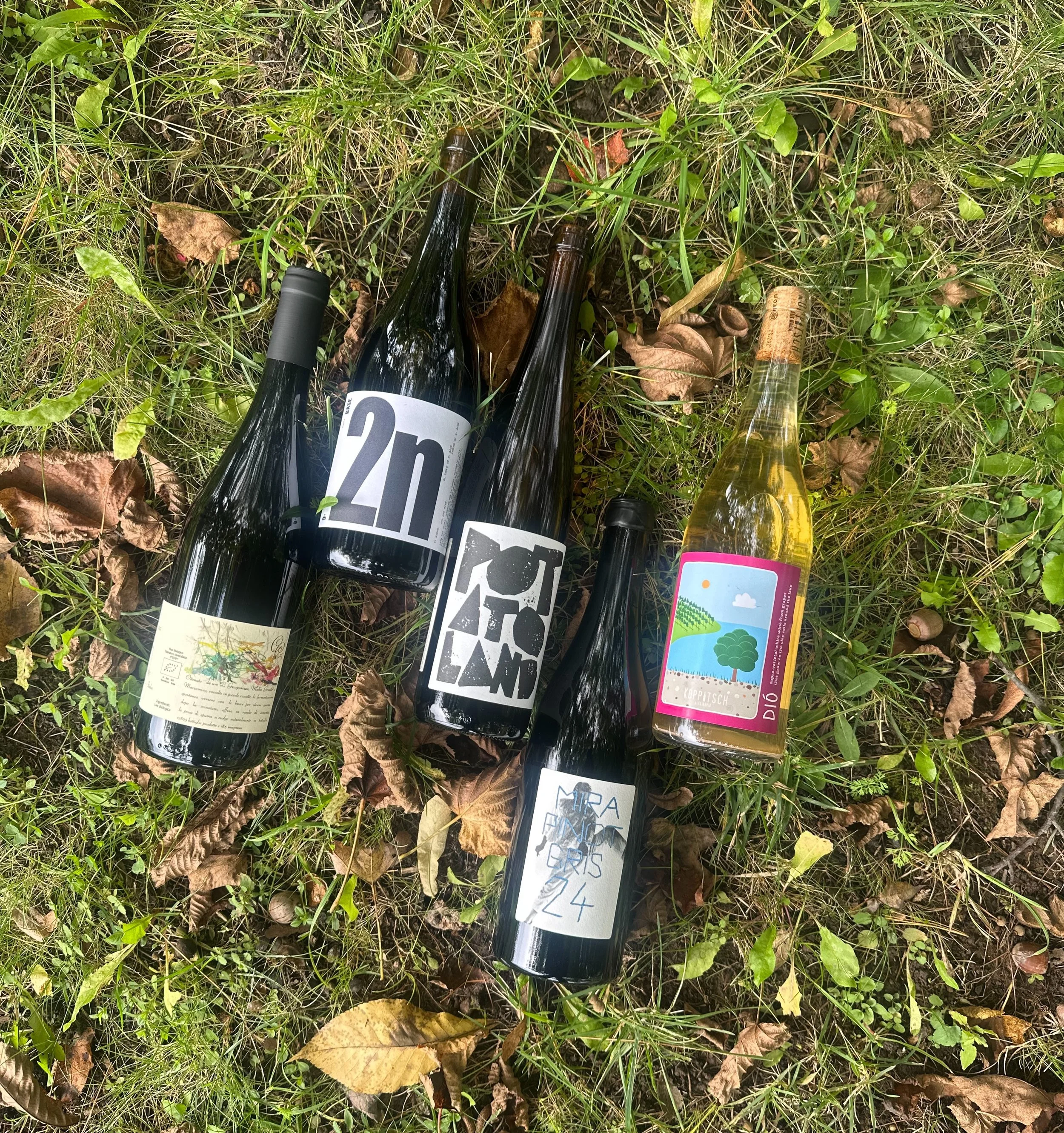shifting season means shifting wine list! everyone&rsquo;s favorite red fiction will be back this friday as well as some new additions, accompanied by live music! 

new items: 
- Dio @koppitschwine // chardonnay &amp; welschriesling
- 2n @celler9mes 