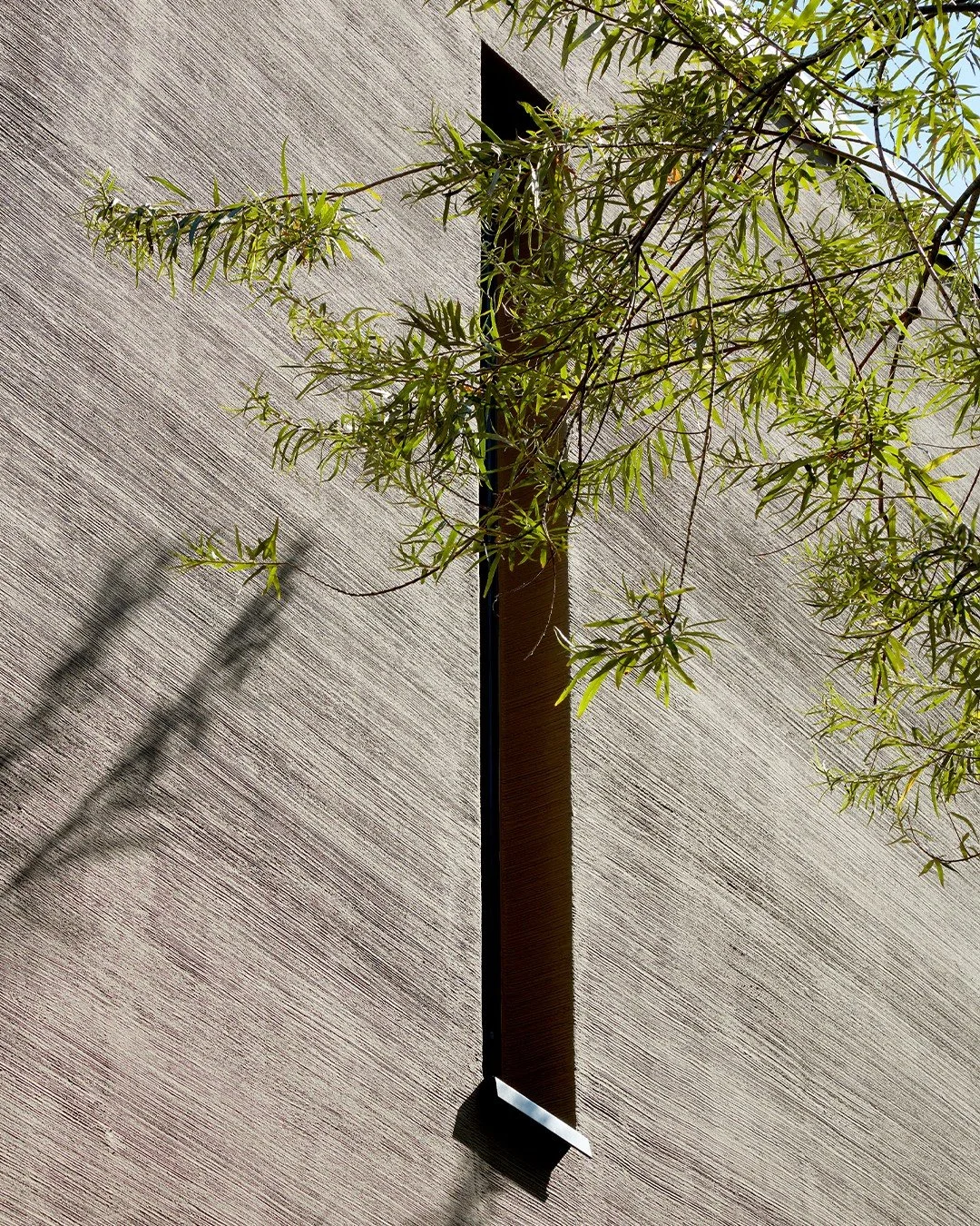 🏆 Wir freuen uns sehr &uuml;ber die Auszeichnung mit dem Brillux Design Award 2025 in der Kategorie Wohnbauten.
Die Preisverleihung fand am 17. November im LWL-Museum f&uuml;r Kunst und Kultur in M&uuml;nster statt. Aus &uuml;ber 600 Einreichungen w
