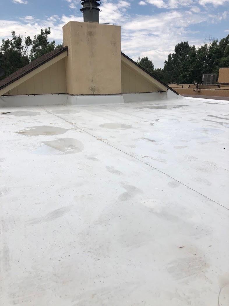TPO Roof