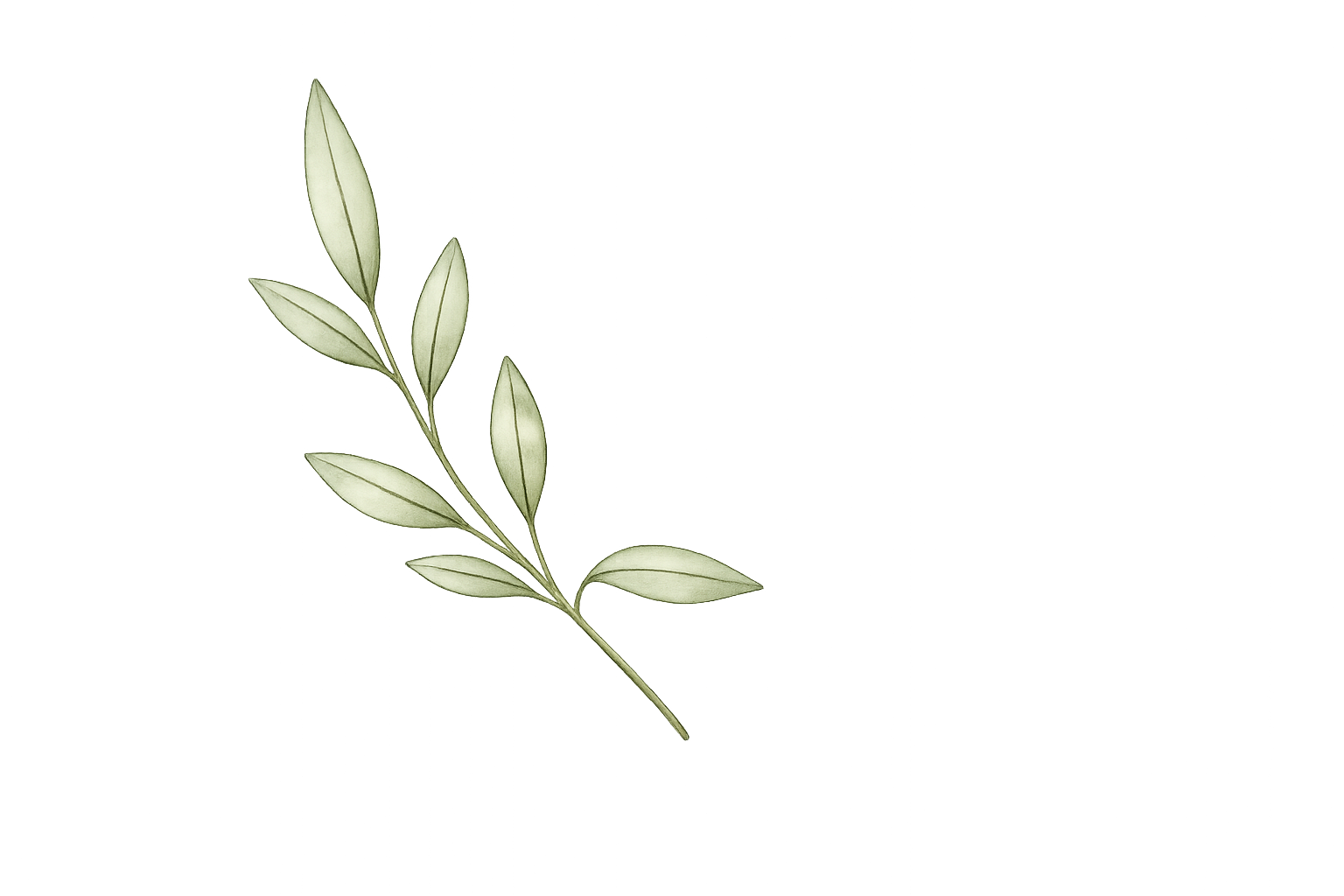 Een witte tak met groene bladeren tegen een zwarte achtergrond.