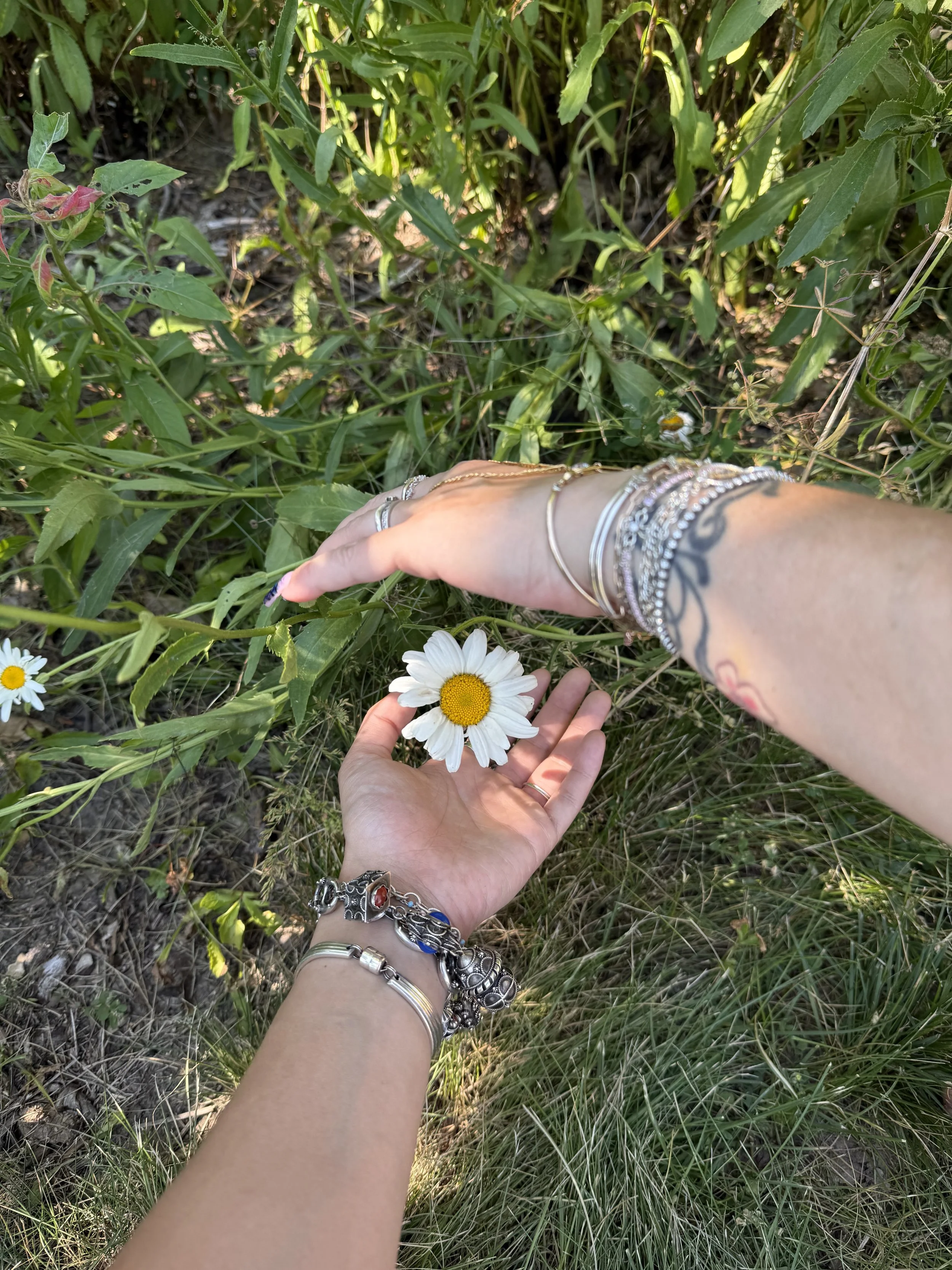 Dasies Custom Jewelry Permanent Jewelry Energywork