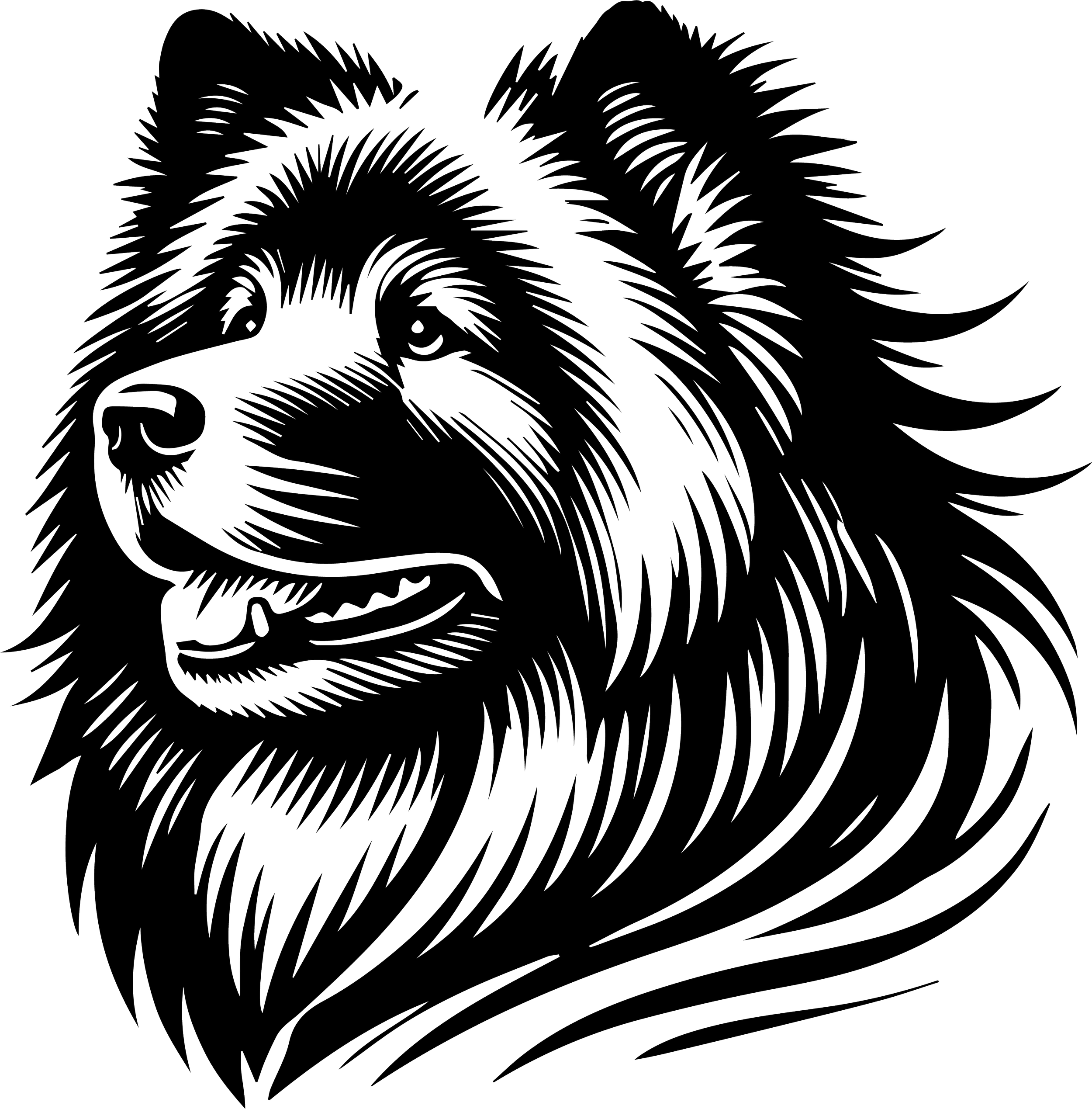 Eurasier 1