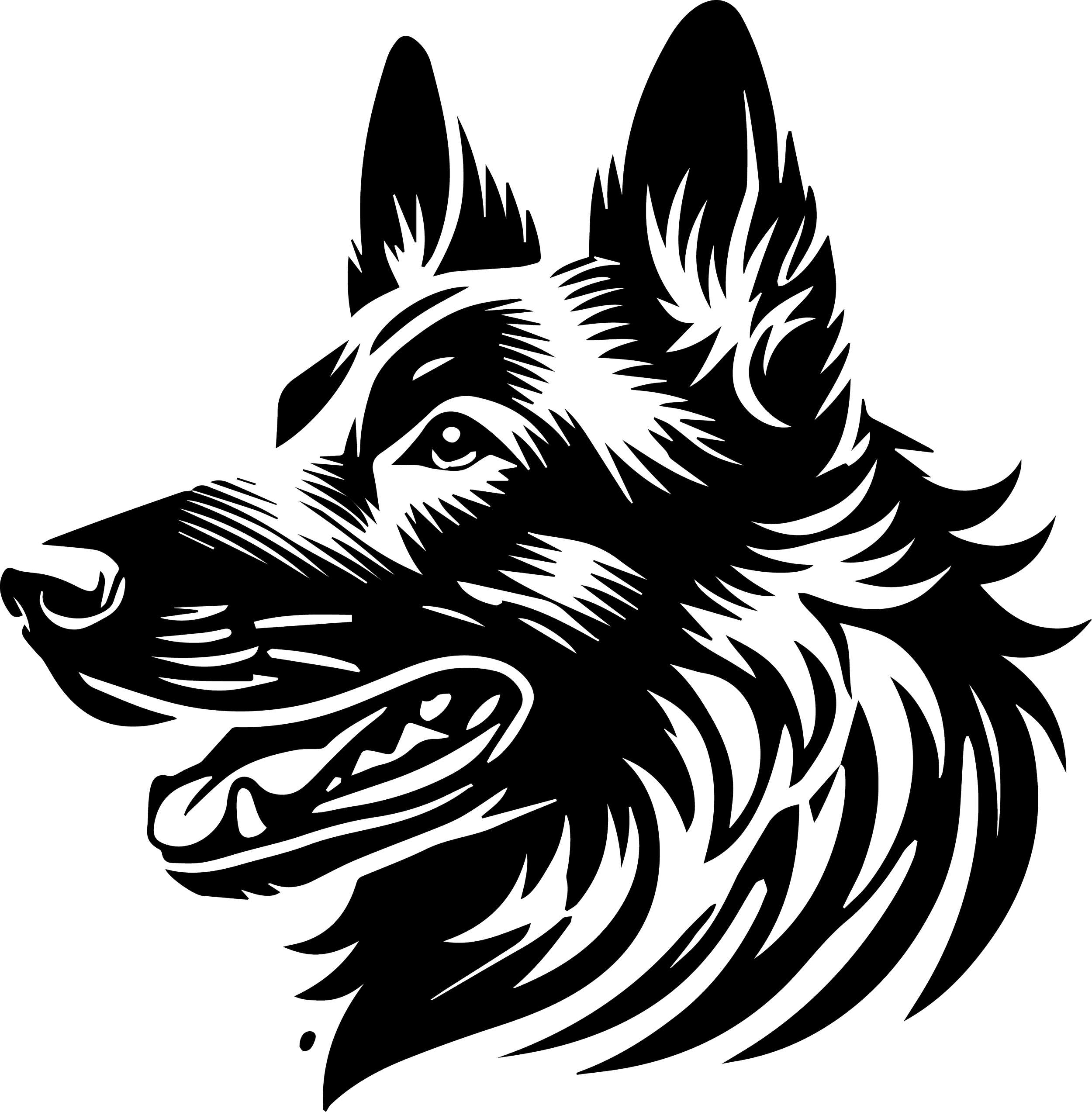 Dutch Shepherd 2