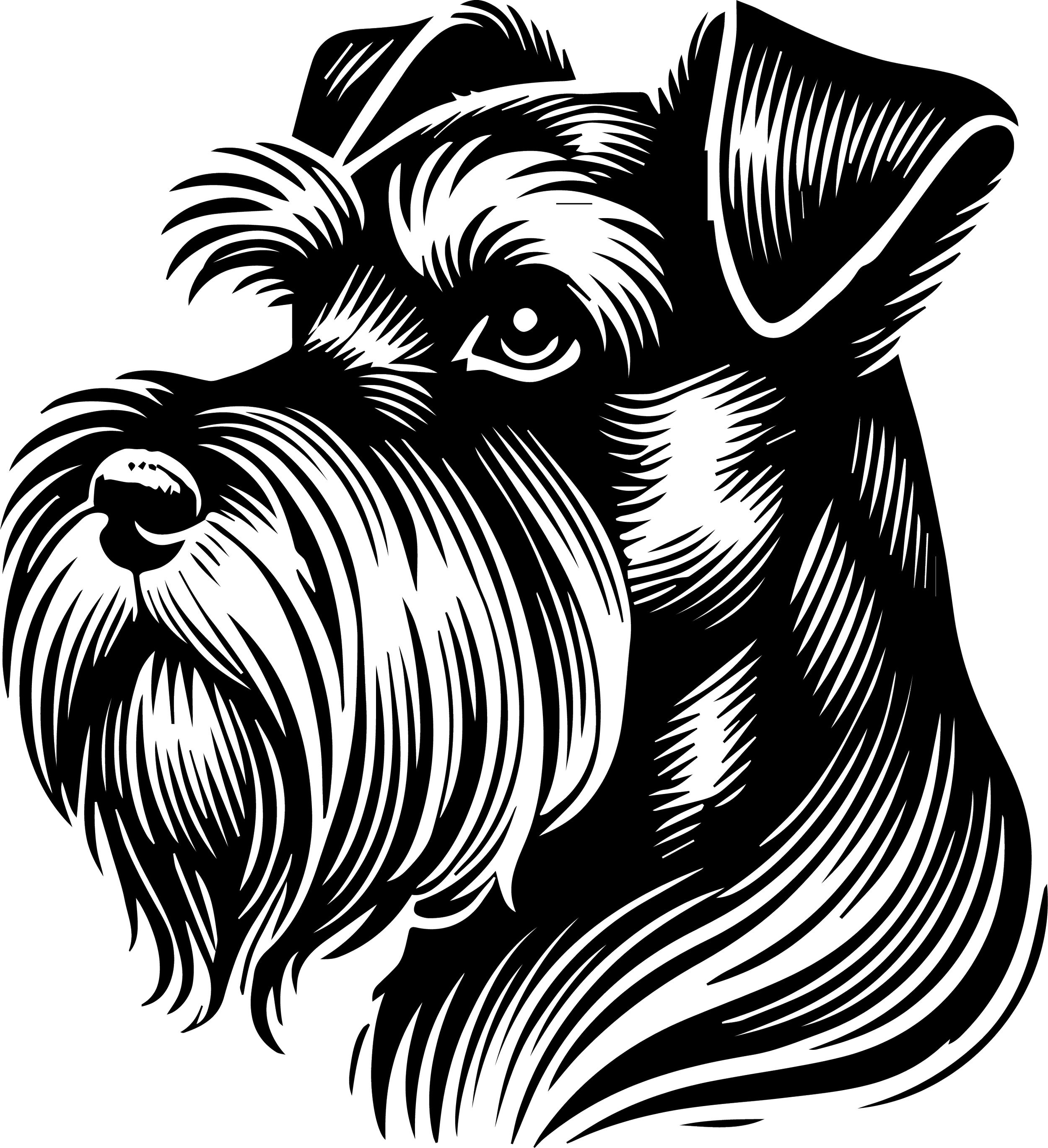 Miniature Schnauzer 1
