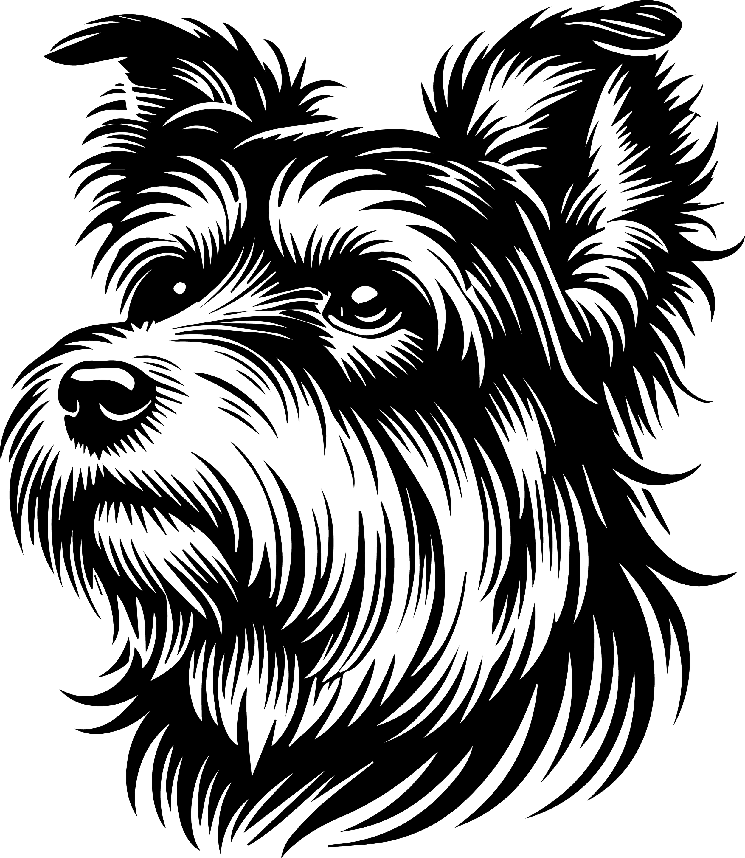 Australian Terrier